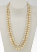 Klassisches Perlencollier, 2-reihigChampagnerfarbene Akoya-Zuchtperlen, verlaufend, D. ca. 4,6-8,9