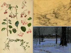 Lange, Helene. Guth, Otto. Lang, Julius u.a.Blumen. Nächtlicher Park im Winter. Gebirgstal u.a.