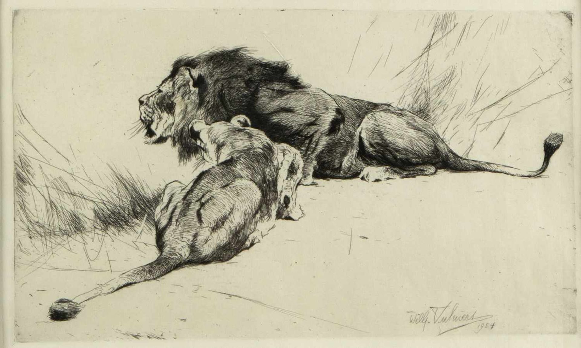 Kuhnert, W. Plückebaum, M. Kutzner, T. u.a.Liegendes Löwenpaar. Katzen. Hunde. Kälber. 8 Bll. - Image 4 of 5