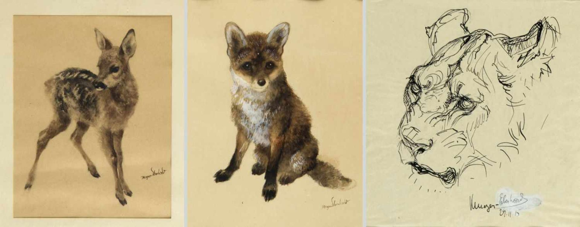 Meyer-Eberhardt, Kurt. 1895 Leipzig - München 1977Rehkitz. Junger Fuchs. Löwenkopf. 2 Aquarelle. 1