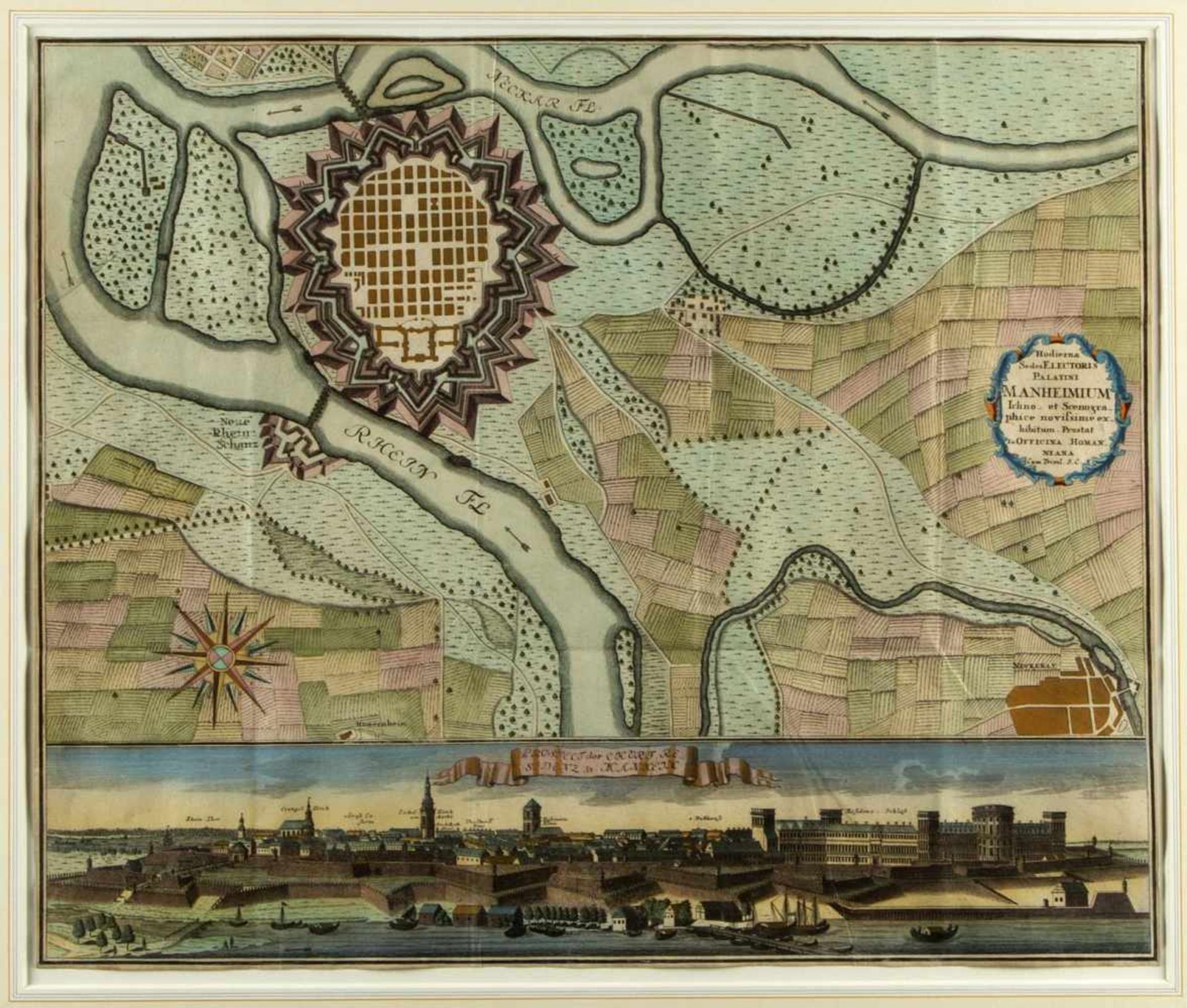 Homann. GigasKarten von Köln und Mannheim. 2 kol. Radierungen. Bis 48 x 57 cm. - Bild 3 aus 3