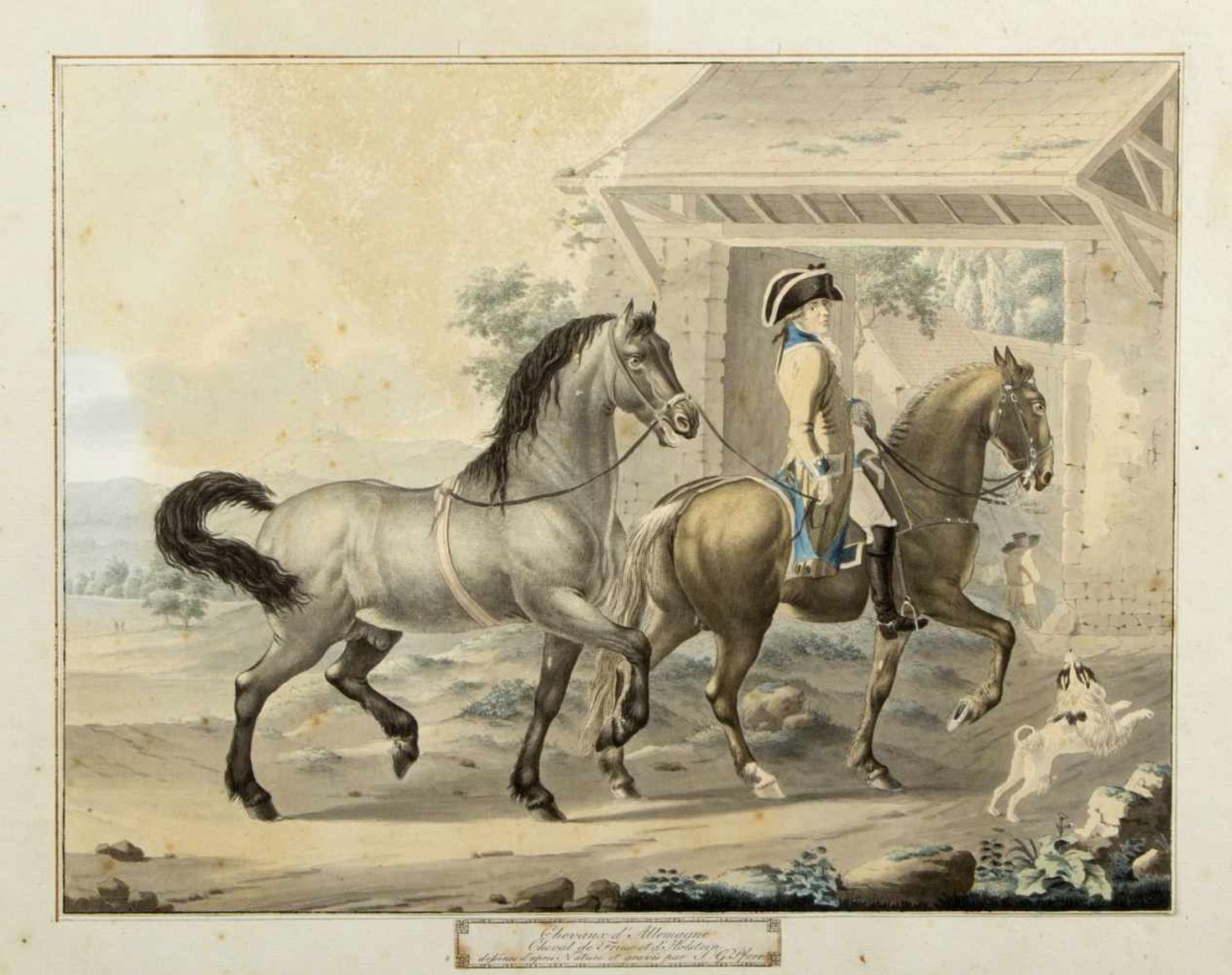 Pforr. Homan u.a.Chevaux. Hassiae Inferioris u.a. 8 Bll. versch. Techn. Bis 49 x 58 cm. - Bild 3 aus 3