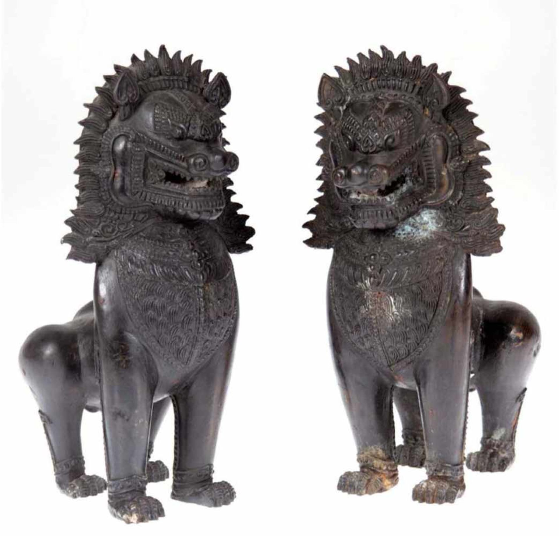 Paar chinesische Tempel-Löwen, Bronze, braune Patina, ein Bein leicht kürzer, H. 27 cm