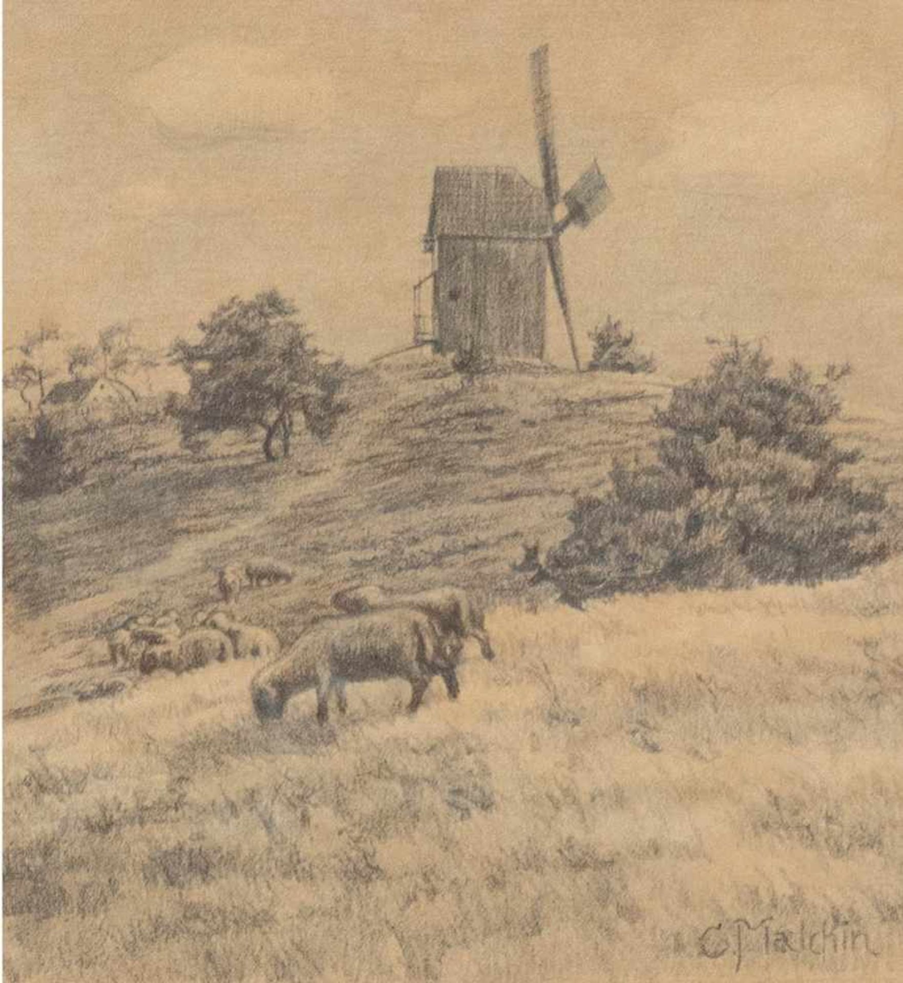 Malchin, Carl (1838 Kröpelin-1923 Schwerin) "Darßer Mühle mit weidenden Schafen",Bleistiftzeichnung,