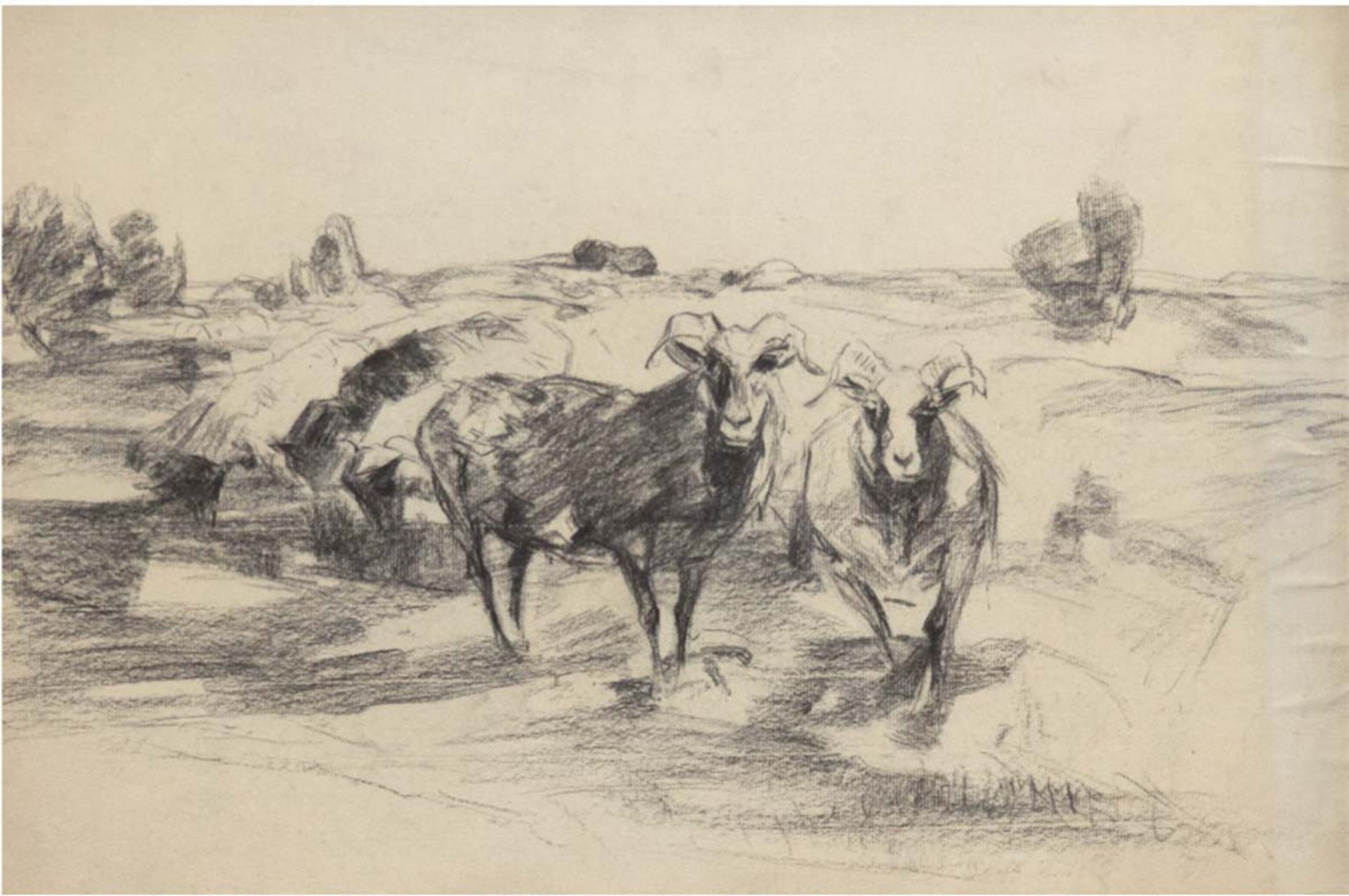 Wolf, Georg (1882-1962 Düsseldorf- Uelzen) "Ziegen in Landschaft", Kohlezeichnung ,