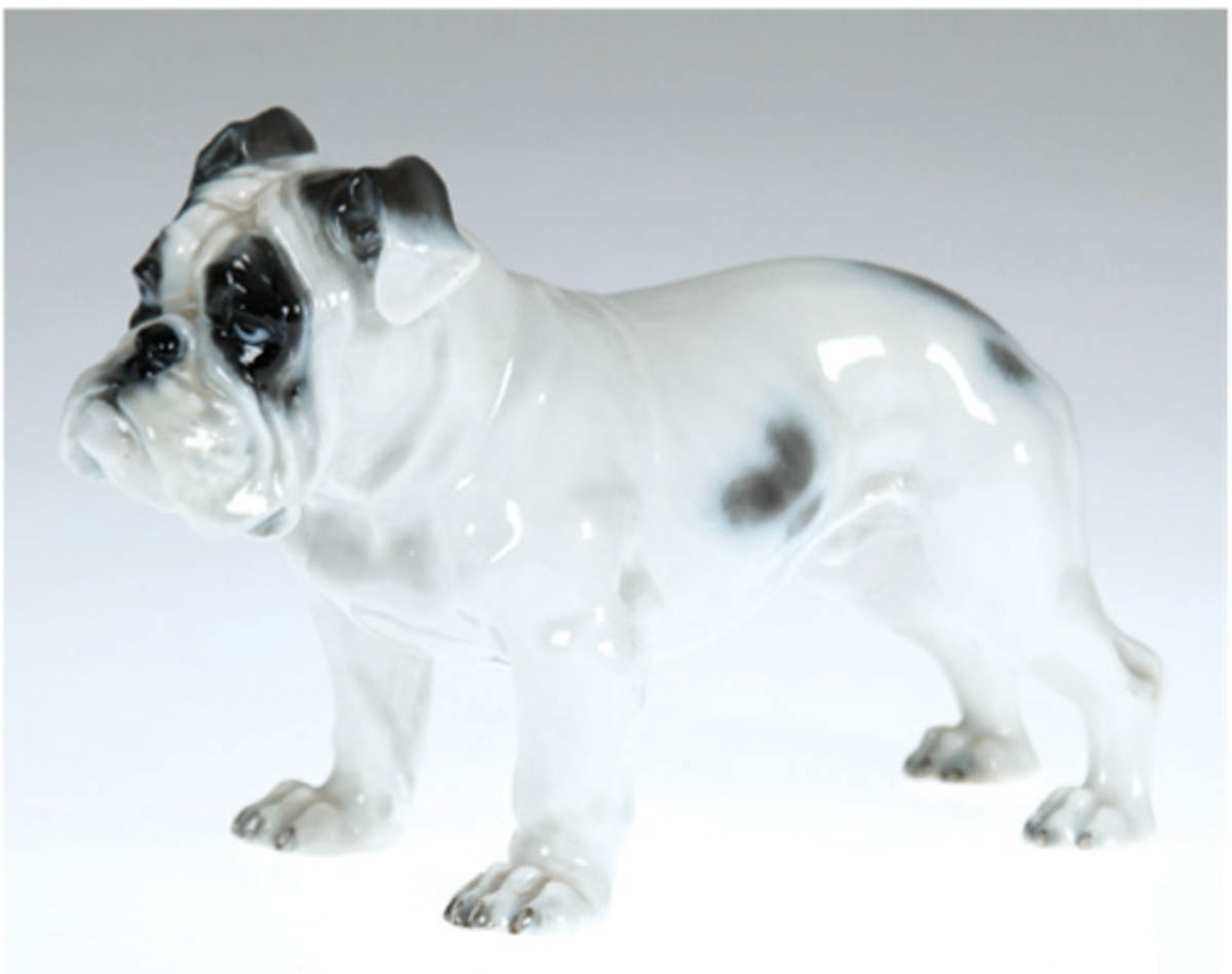 Rosenthal-Figur "Französische Bulldogge", schwarze Bemalung, H. 12 cm, L. 20 cm