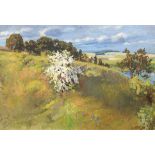 Hennig, Erich (1875-1946) "Weißdornblüte in Küstenlandschaft", Öl/Lw., sign. u.r. 50x72cm, Rahmen- -