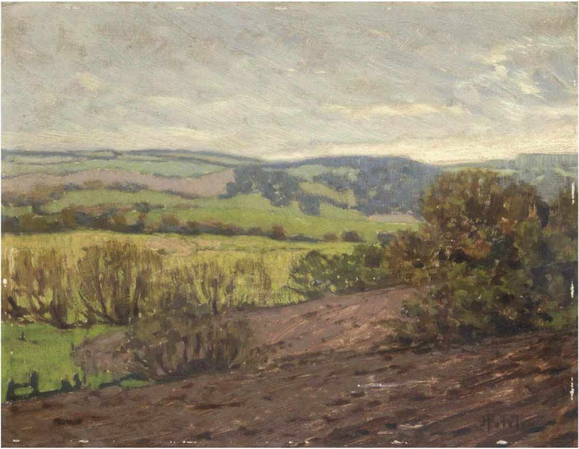 Petelin, H. "Hügelige Landschaft", Öl/Mp., sign. u.r., 34x44 cm- - -23.80 % buyer's premium on the