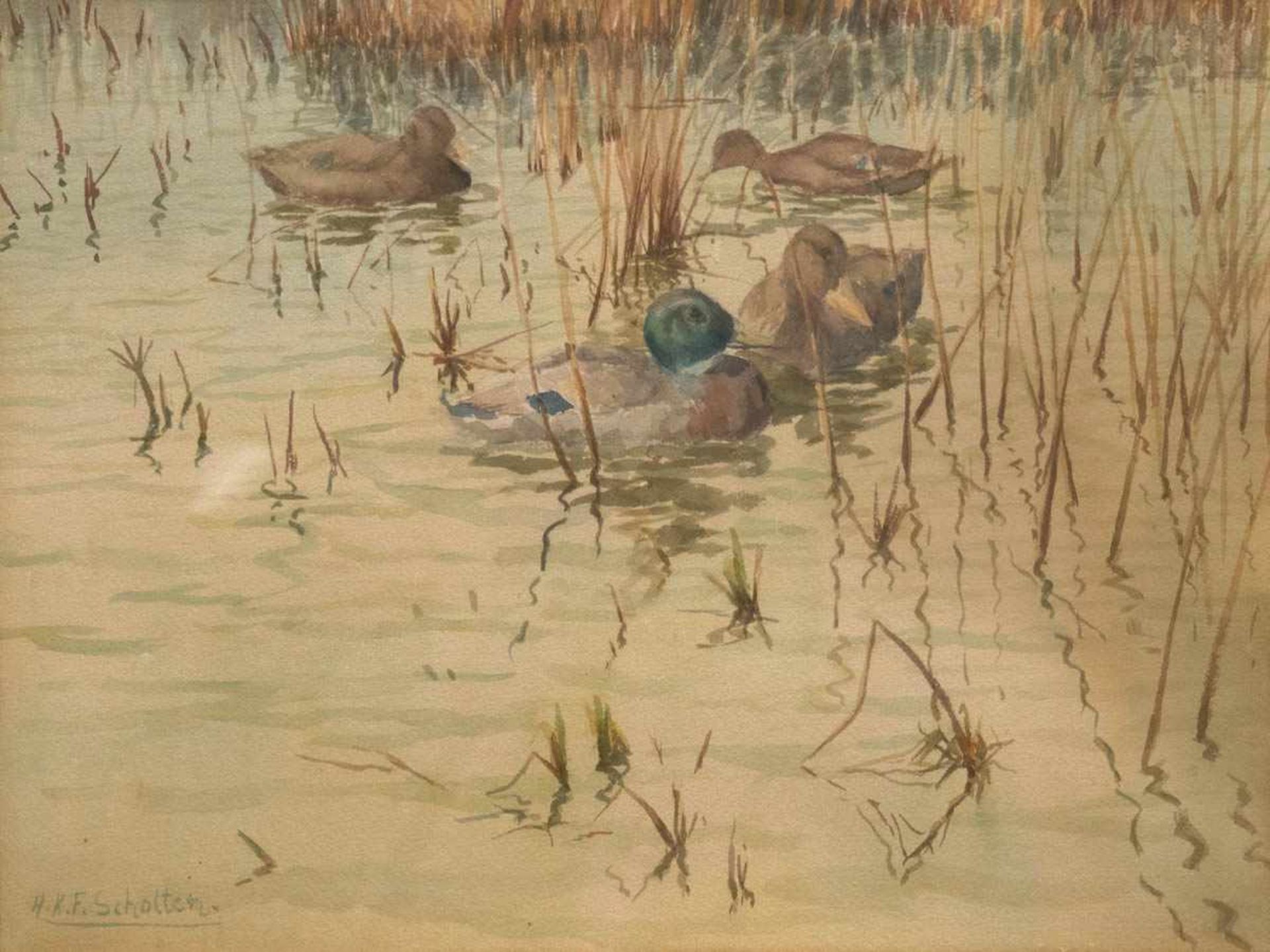 Scholten, Heinrich (Heinz) Karl Franz (1894 Rees-1967 ebd.) "Enten auf dem See", Aquarell,sign. u.