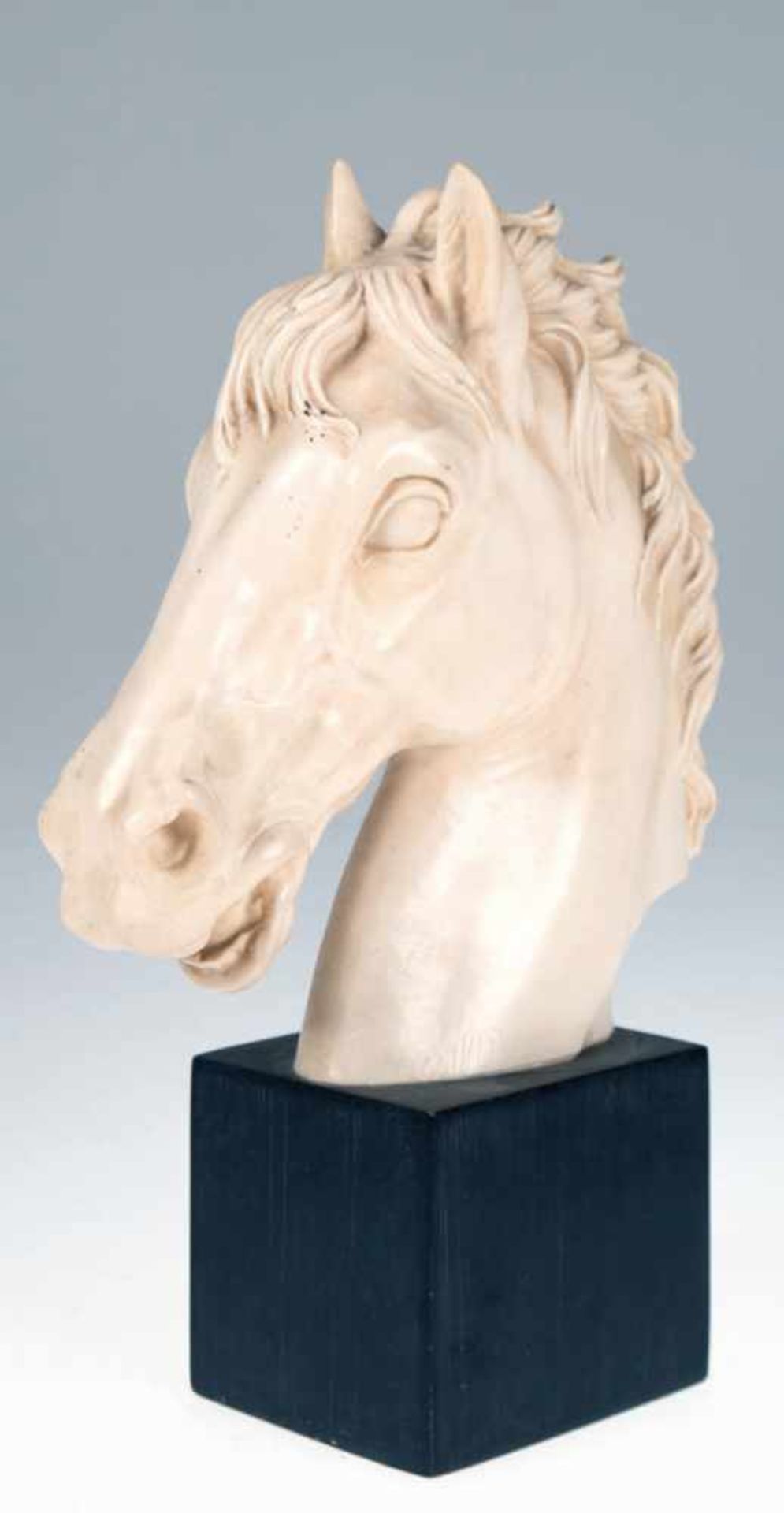 Satini, A. (20. Jh.) "Pferdekopf", beinfarbene Masse auf schwarzem Sockel, Ges.-H. 29,5 cm- - -23.80