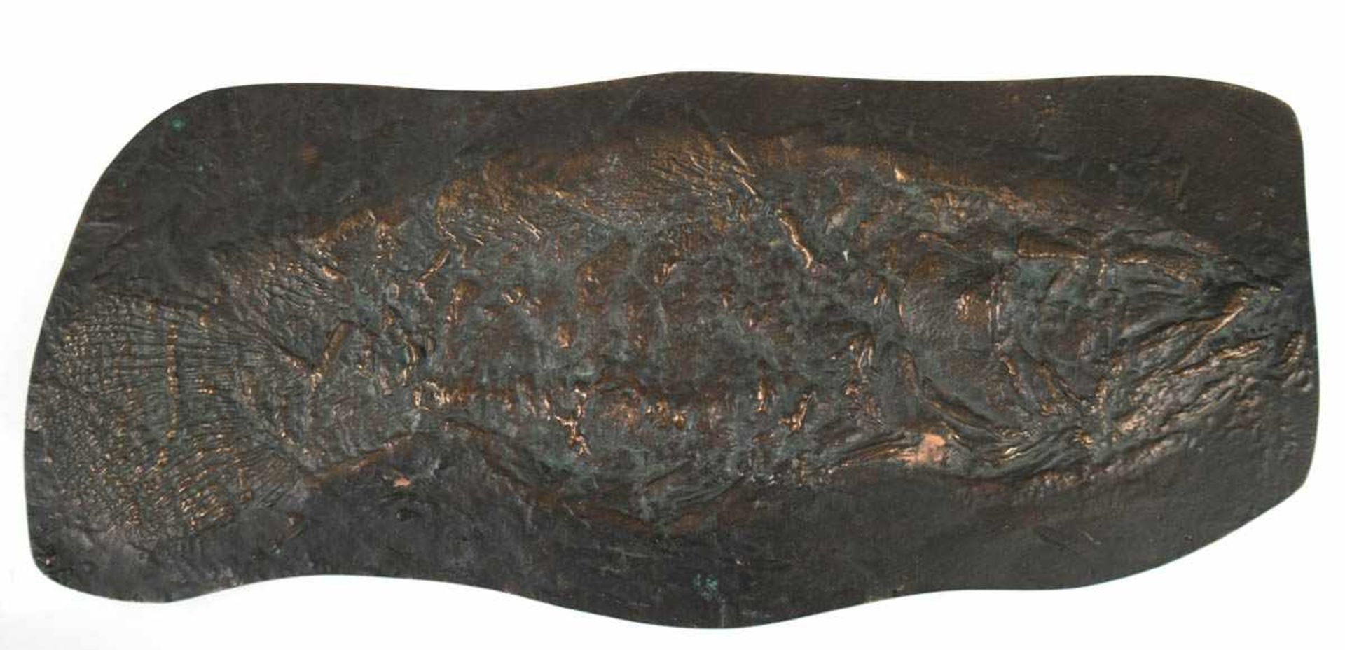 Bronze-Relief, Darstellung eines fossilen Fisches, 55x23 cm- - -23.80 % buyer's premium on the