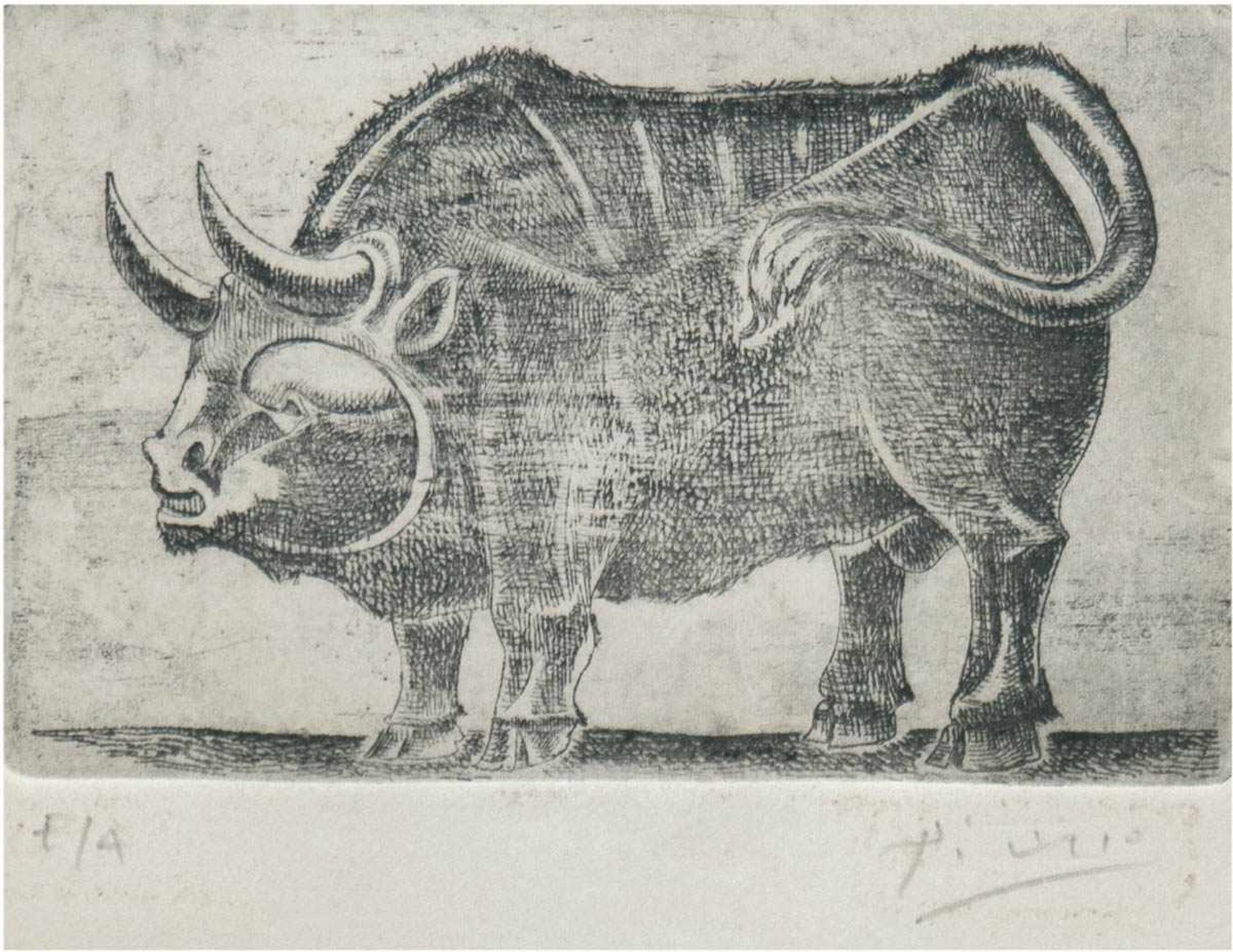 Picasso, Pablo (1881-1973) "Stier", zugeschrieben, Radierung, sign. u.r. und bez. u.l."EA", 10x15