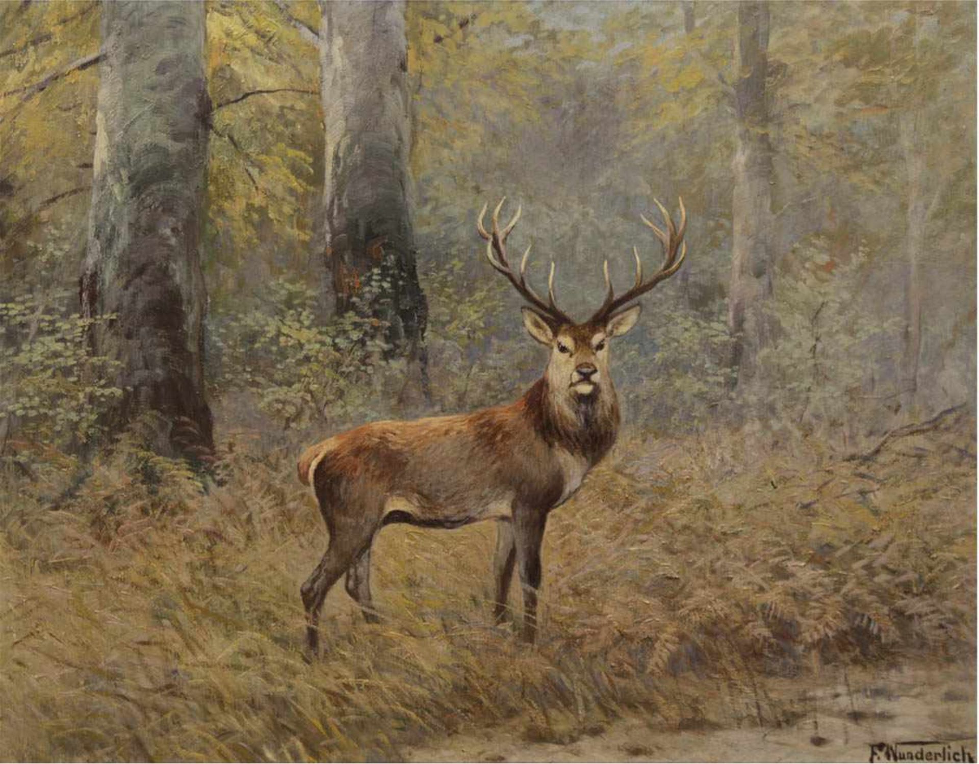 Wunderlich, F. (20. Jh.) "Hirsch im Sommerwald", Öl/SH, sign. u.r., 80x100 cm, Rahmen- - -23.80 %