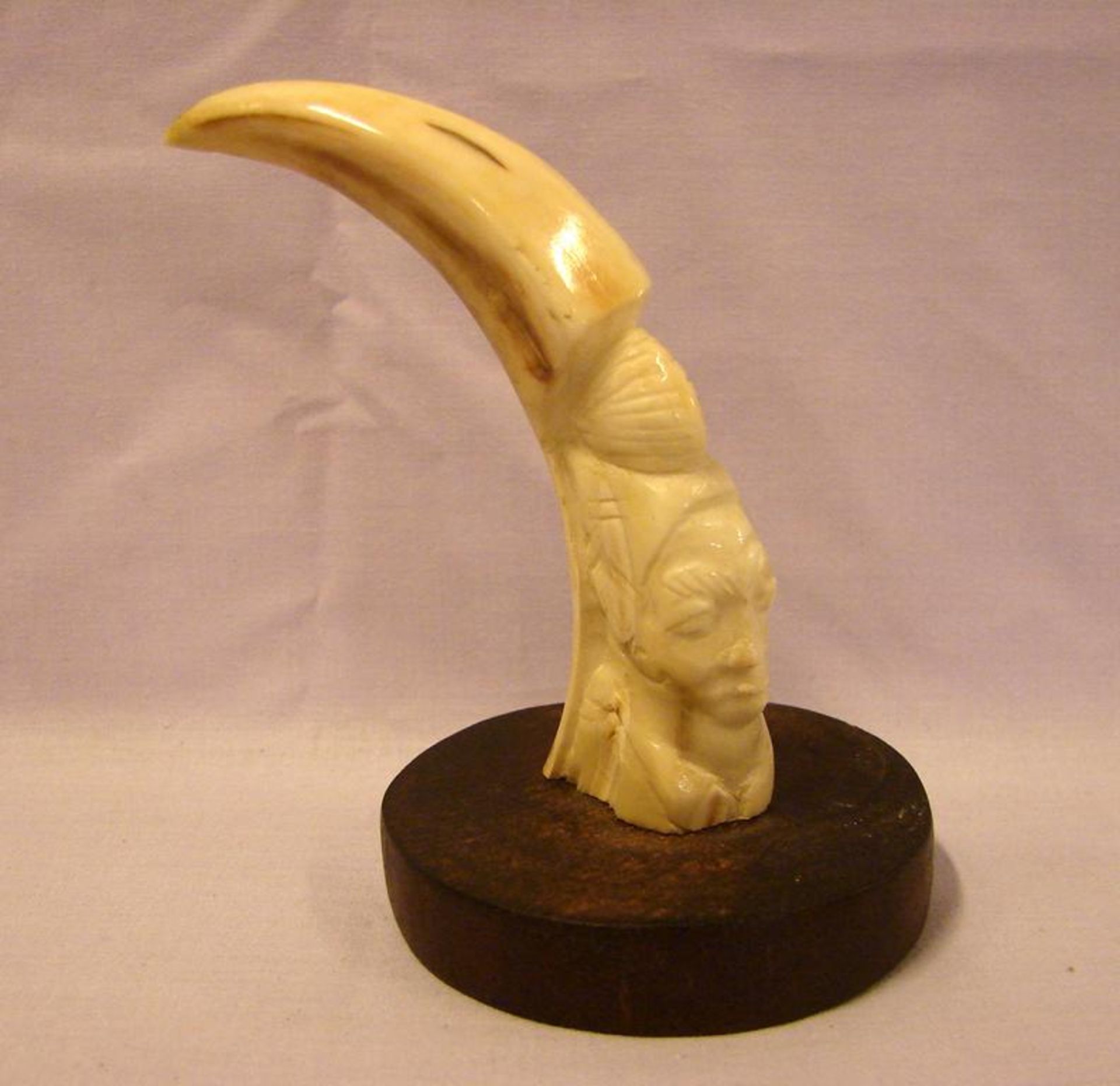 Wildschweinzahn, auf Holzstand mit Schnitzerei eines afrikanischen Kopfes, H. ca. 12 cm