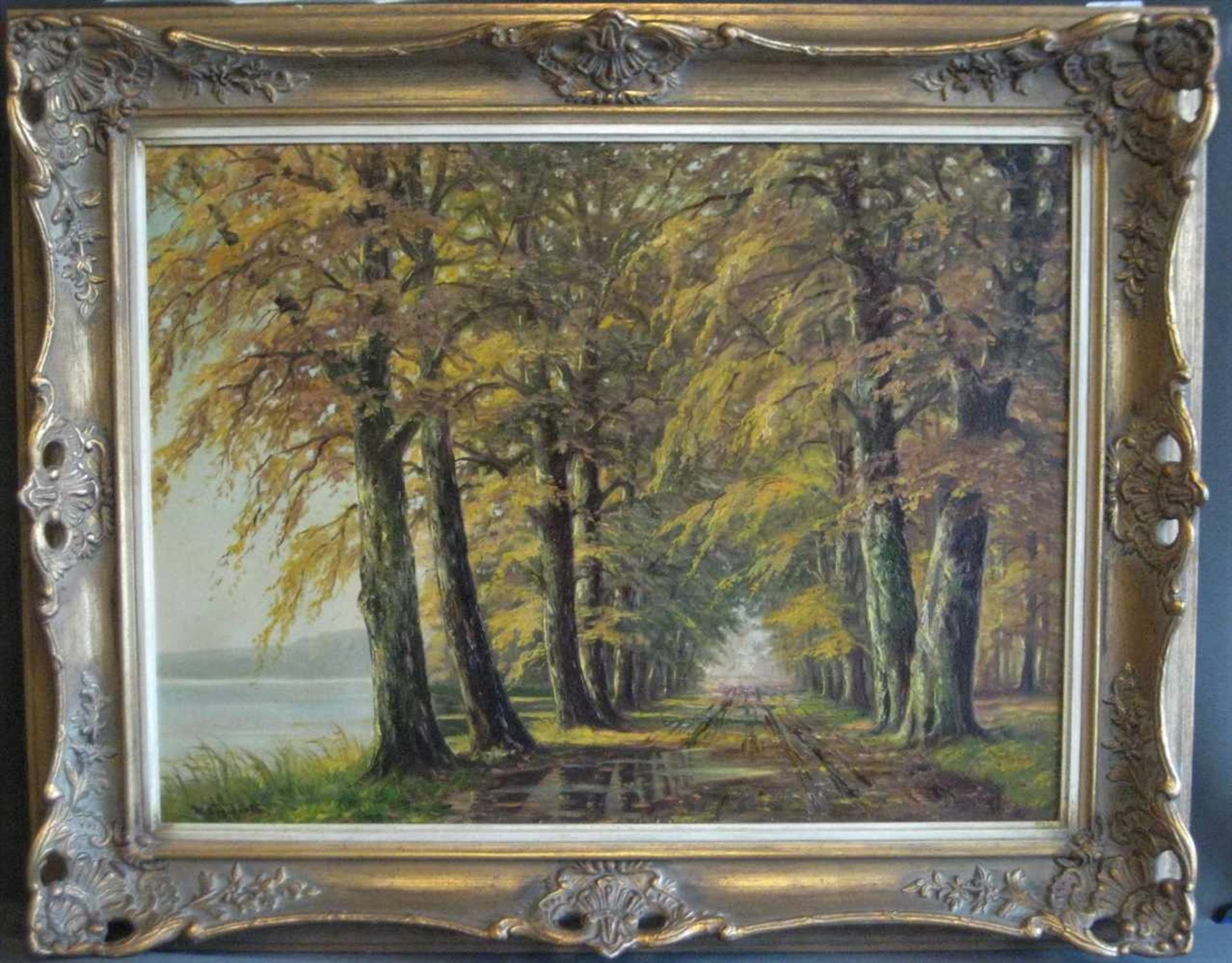 Sogelarth, W., "Herbstliche Wandansicht am See", li.u.sign., Öl/Leinwand, 60 x 81 cm, vergoldeter