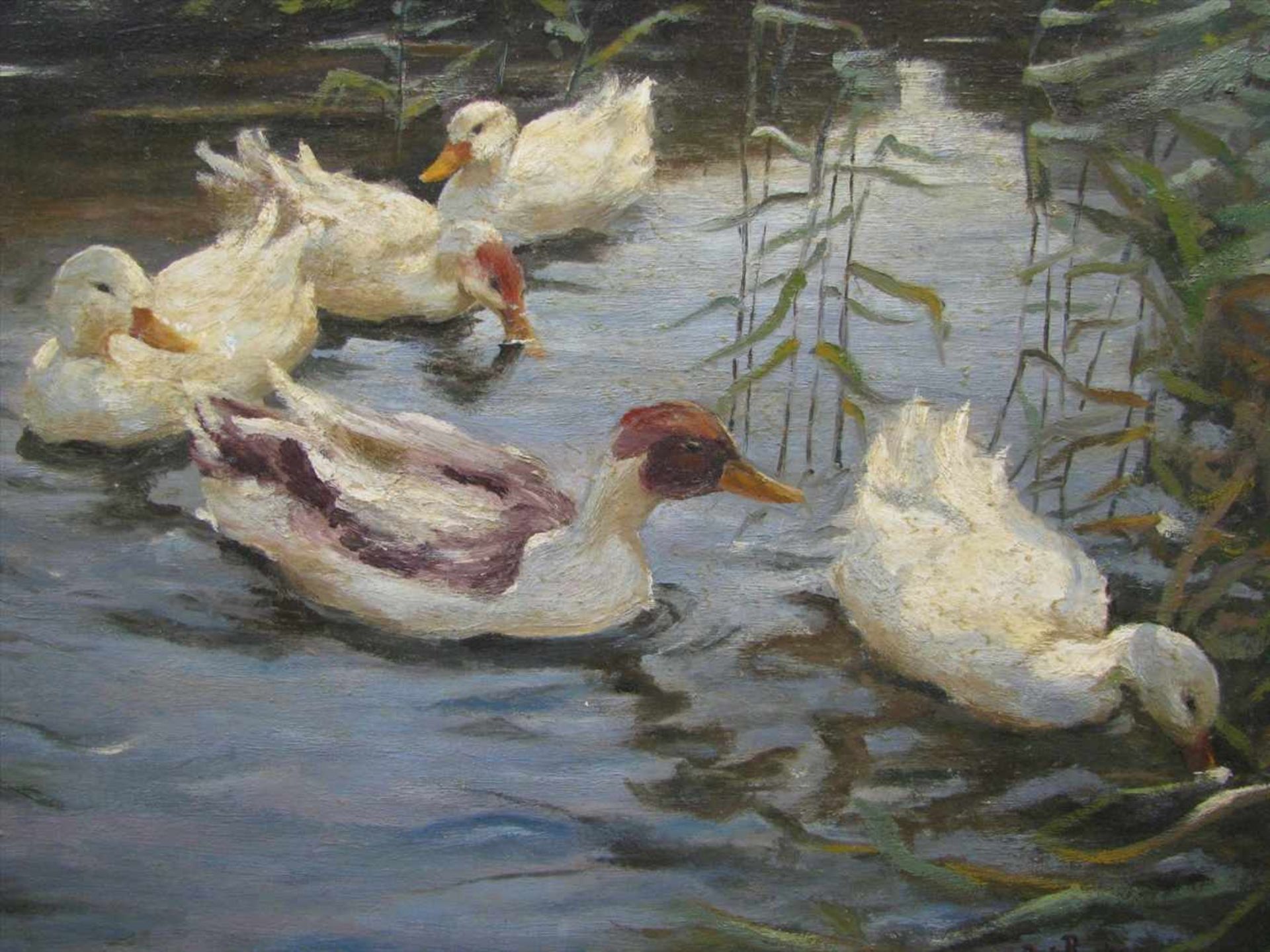 Ruiter, M. de, Belgischer Tiermaler der 1. Hälfte des 20. Jahrhunderts,"Enten am Fluss", re.u.sign., - Bild 2 aus 3