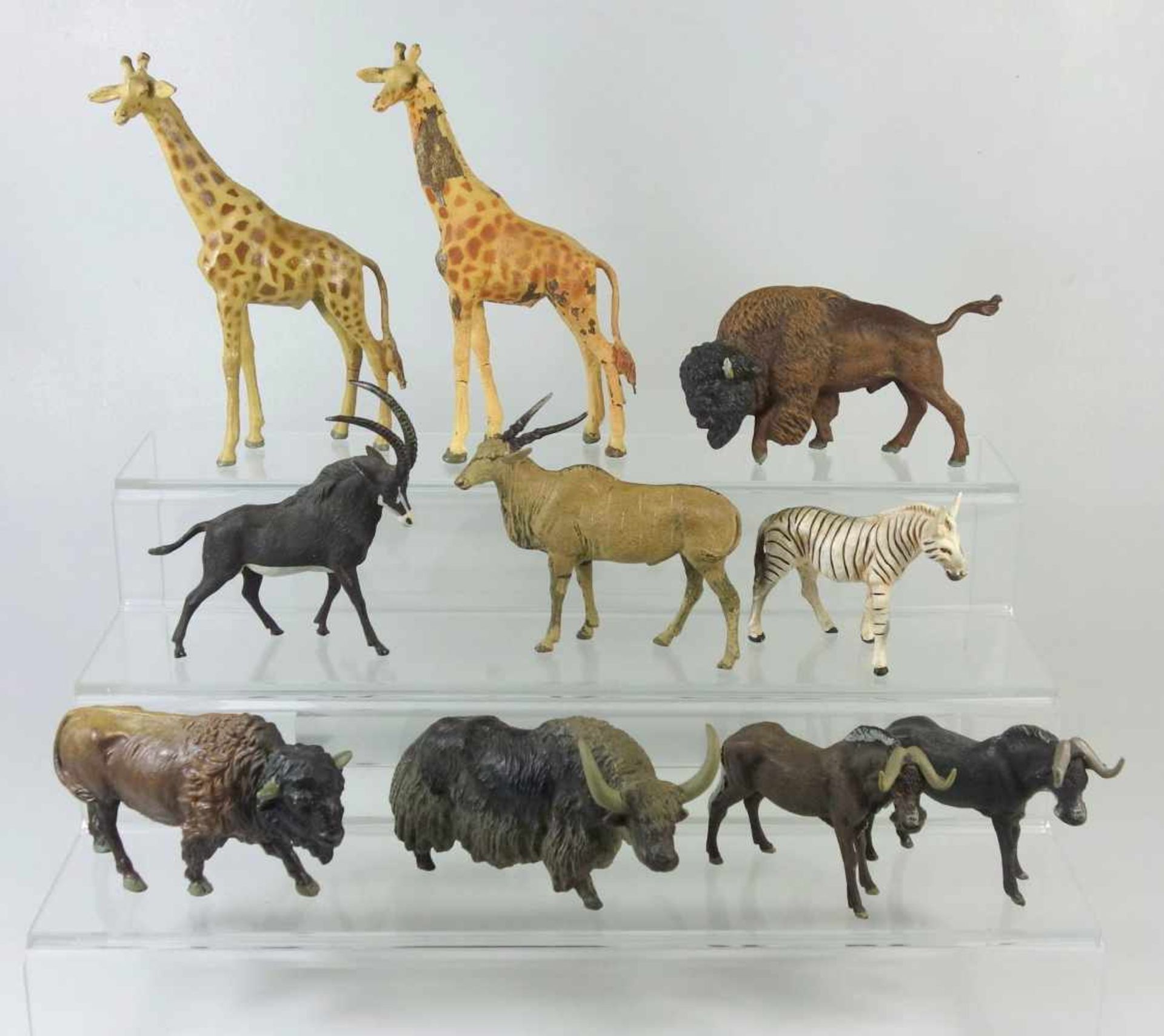 10 wilde Huftiere, Masse, vorw. Lineolu.a. 2 Giraffen, Bison, Wisent, Kaffernbüffel, Yak, Gazelle,