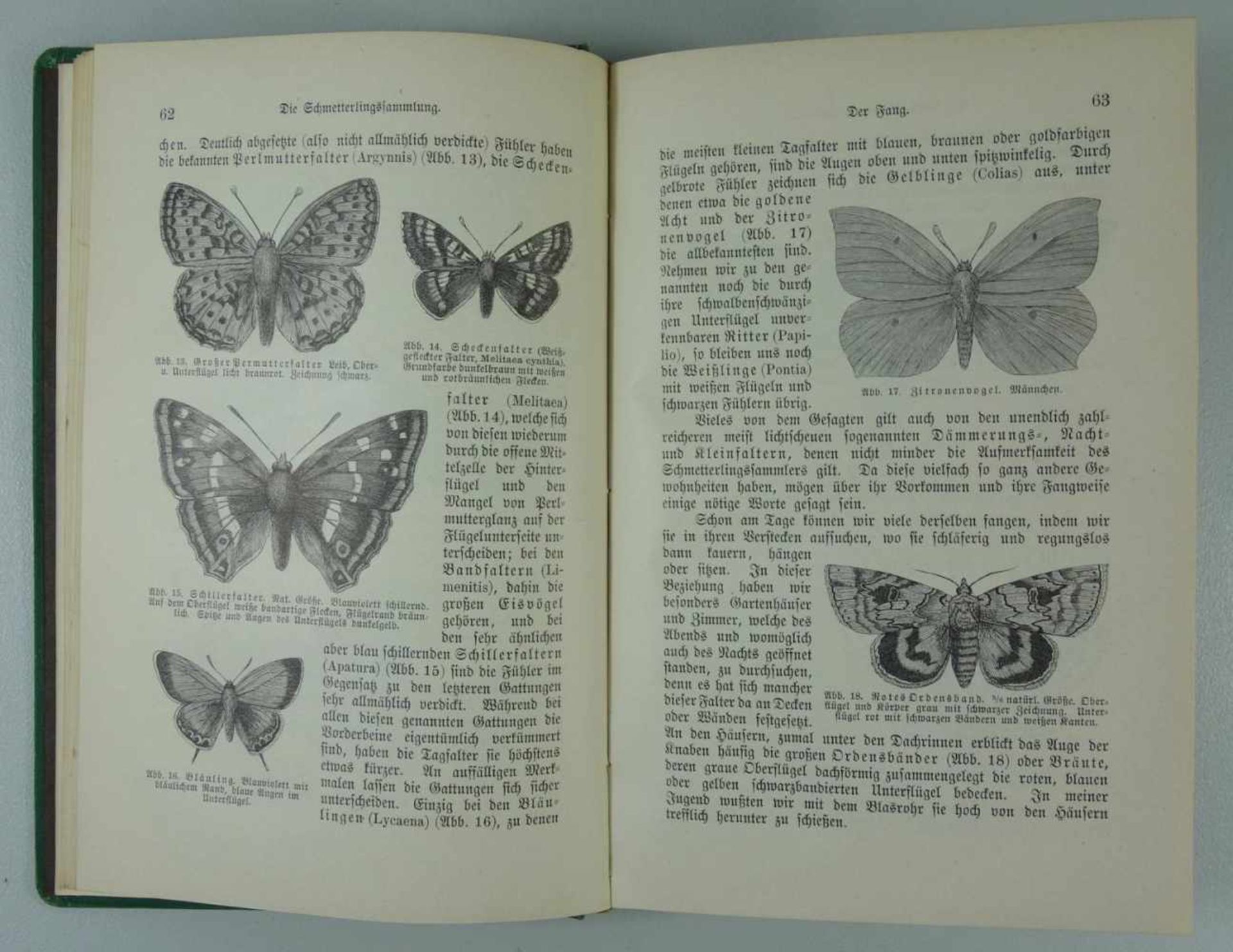 Das Buch der Sammlungen, Otto Klasing, 1883 praktische Anleitung zum Anlegen, Ordnen und Erhalten - Bild 2 aus 2