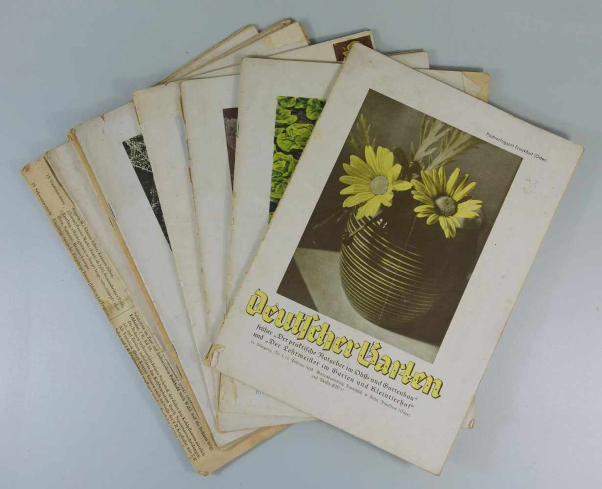 9 Zeitschriften Deutscher Garten, Gartenbauverlag Trowitzsch&Sohn, Frankfurt Oder und Berlin, 30er