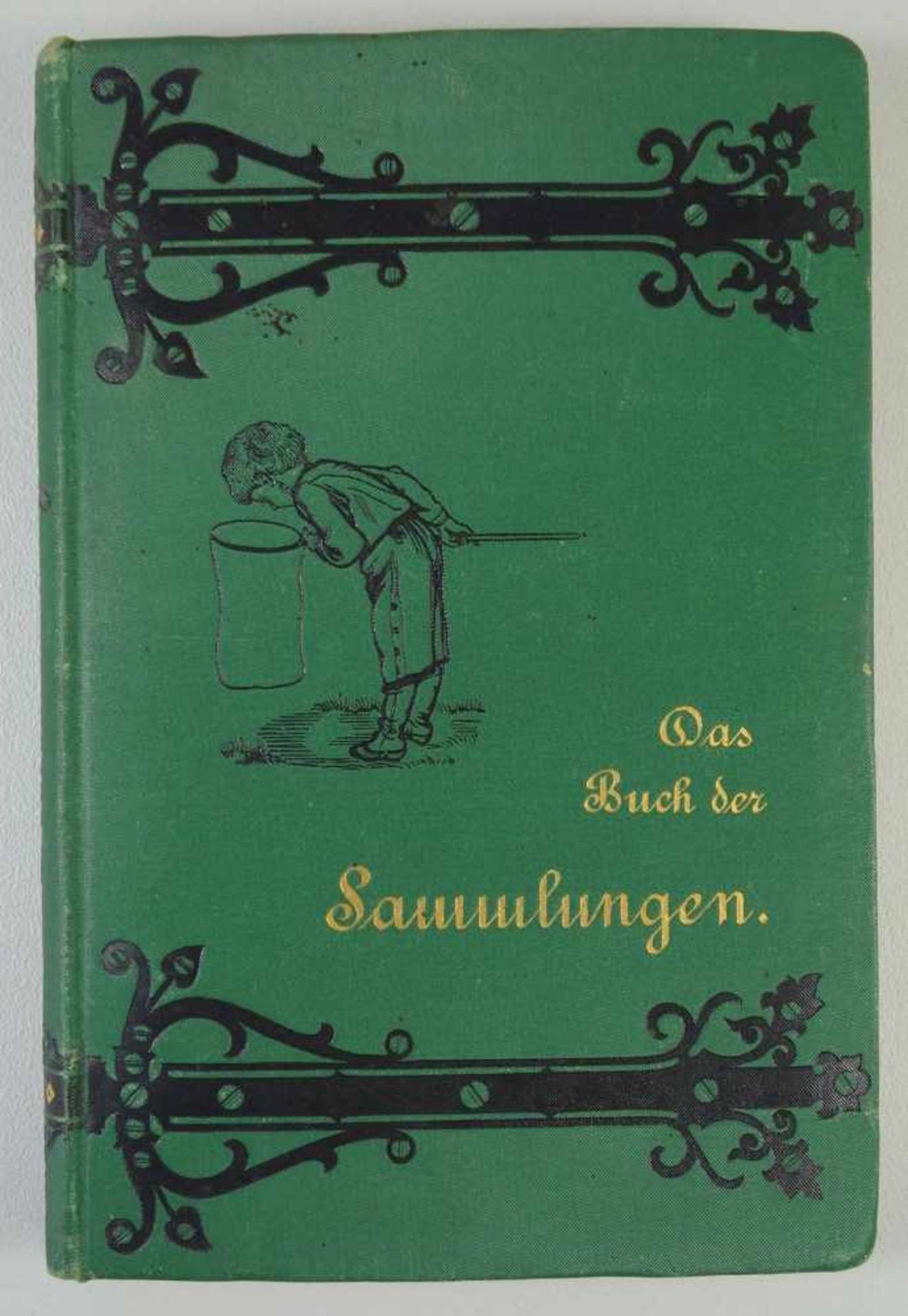 Das Buch der Sammlungen, Otto Klasing, 1883 praktische Anleitung zum Anlegen, Ordnen und Erhalten