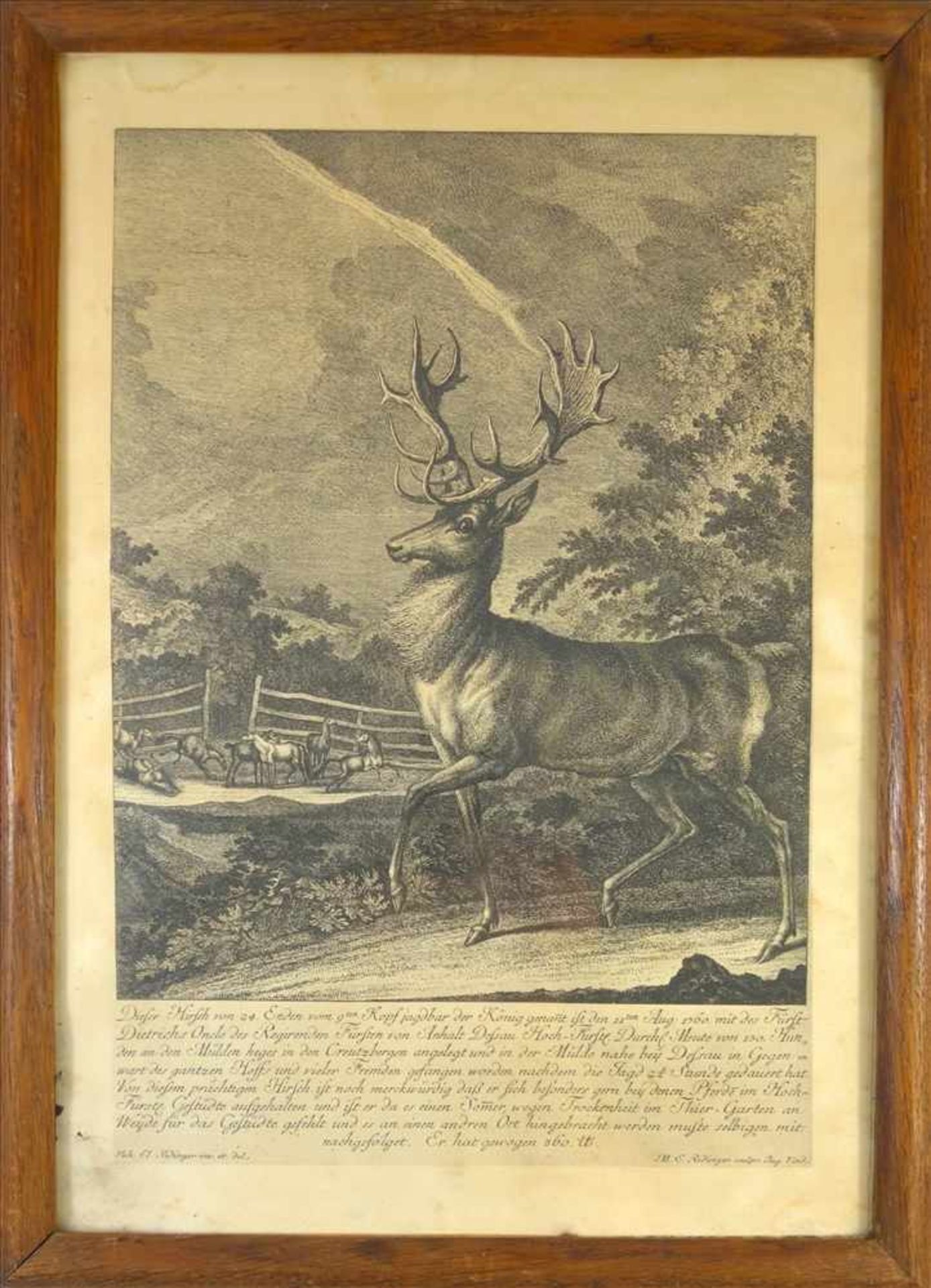 2 Wildtierdarstellungen, Anf. 20. Jh., Nachdrucke von Kupferstichen von Johann Elias Ridinger,
