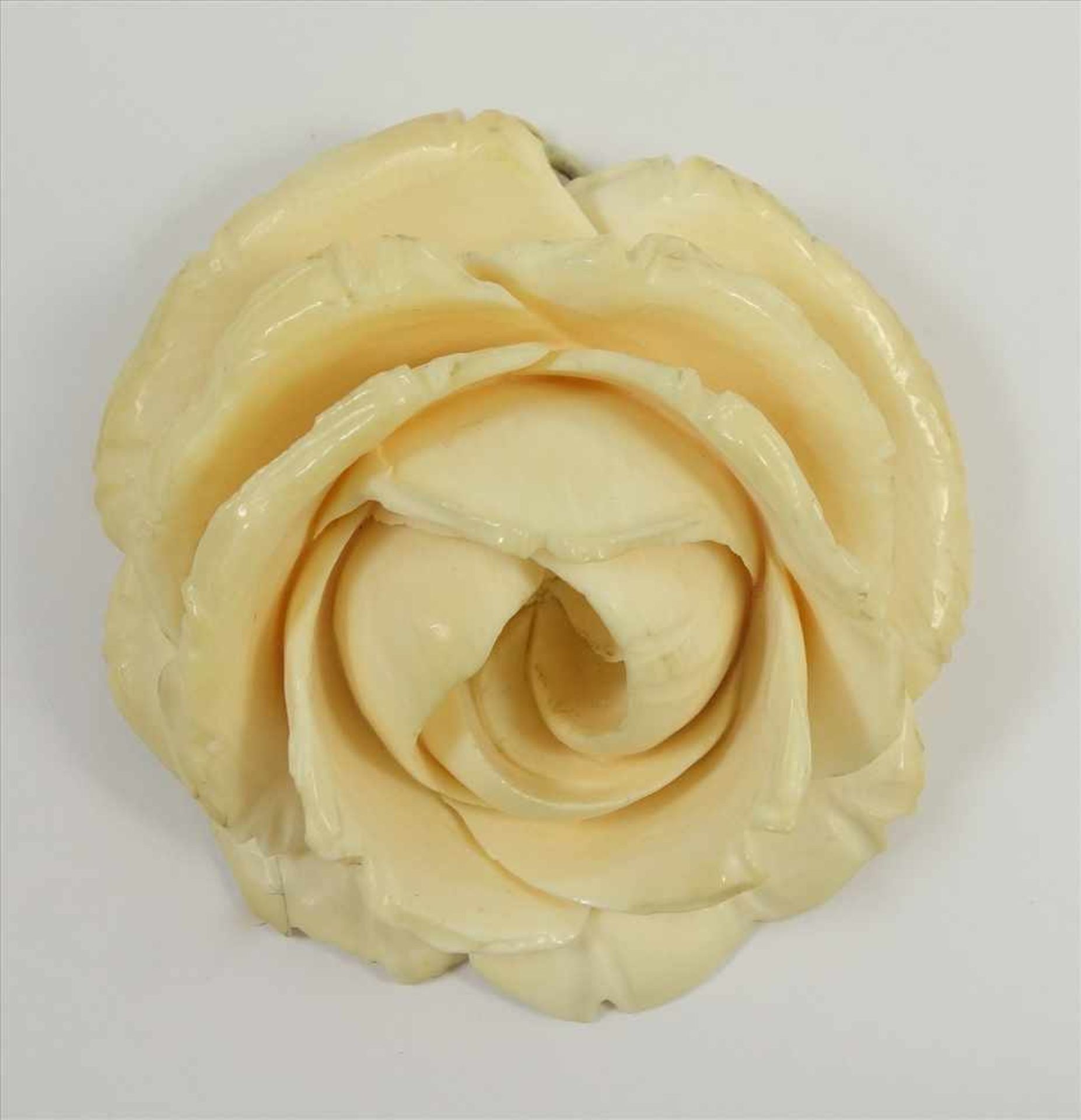 Erbacher Rose, Bein, um 1900, große, geschnitzte Rose, D.5cm, kl. Best.