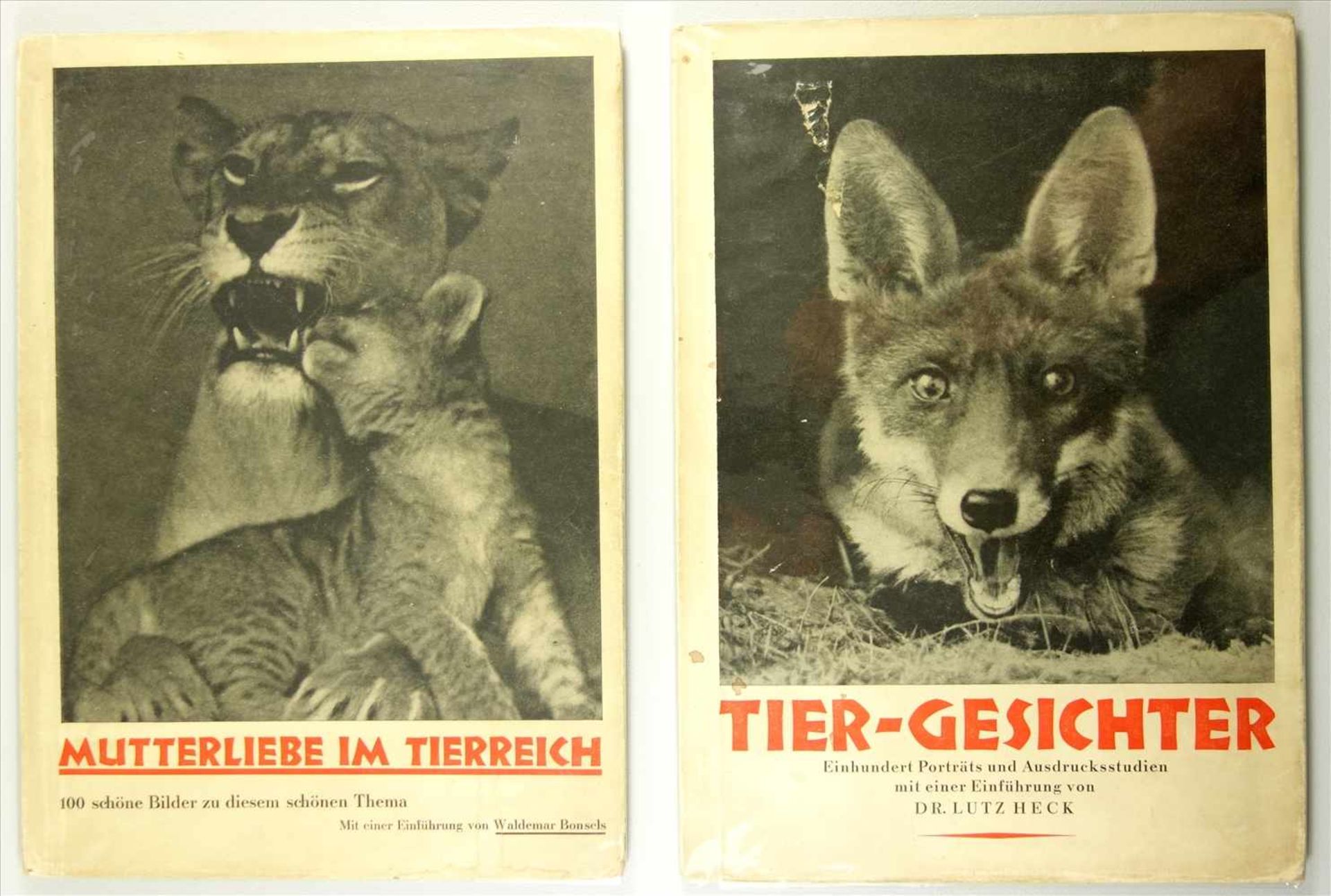 2 Bücher aus der Reihe "Tier-Bilderbände", Band II "Mutterliebe im Tierreich" und Band IV "Tier-