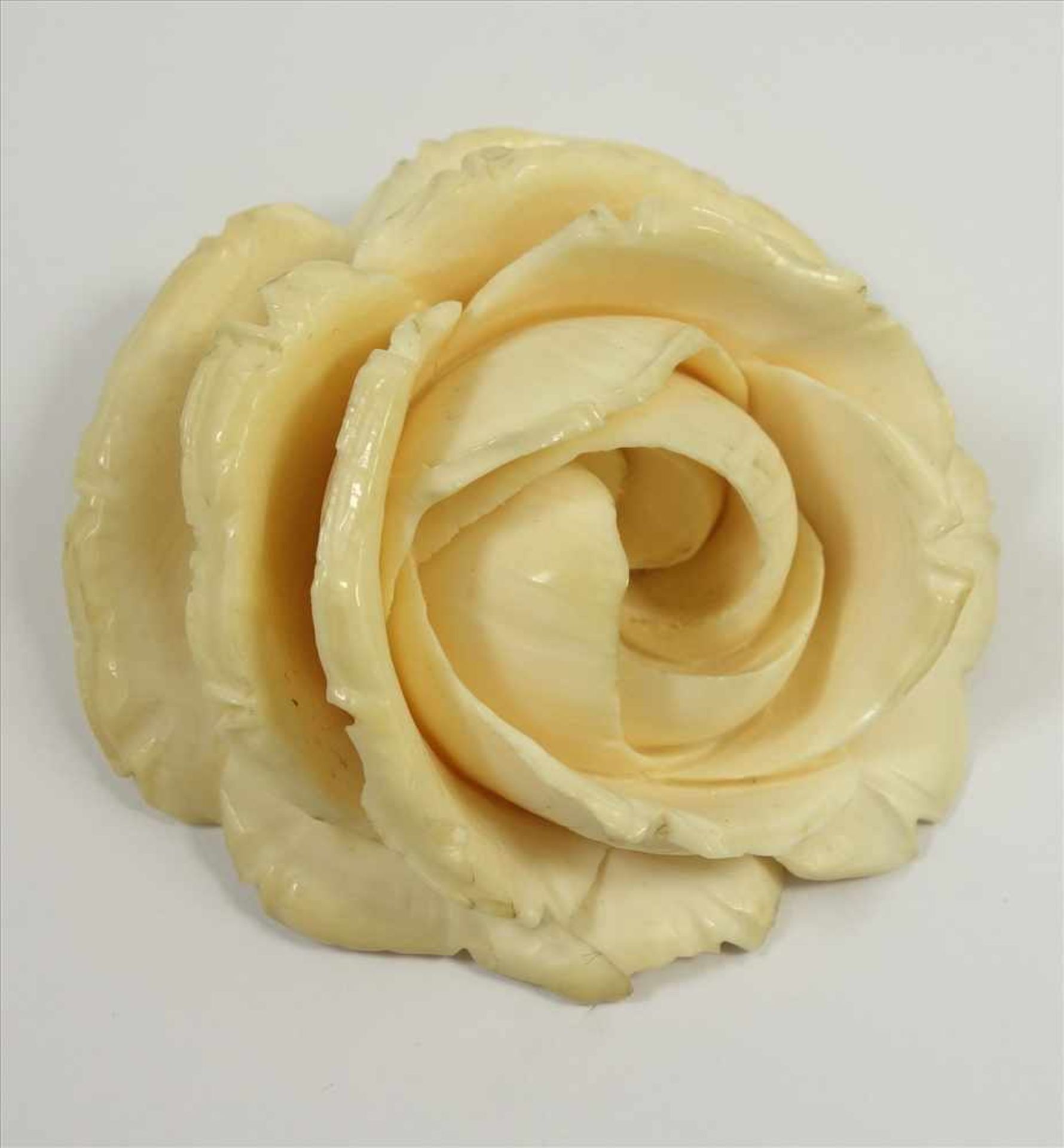 Erbacher Rose, Bein, um 1900, große, geschnitzte Rose, D.5cm, kl. Best. - Bild 2 aus 2