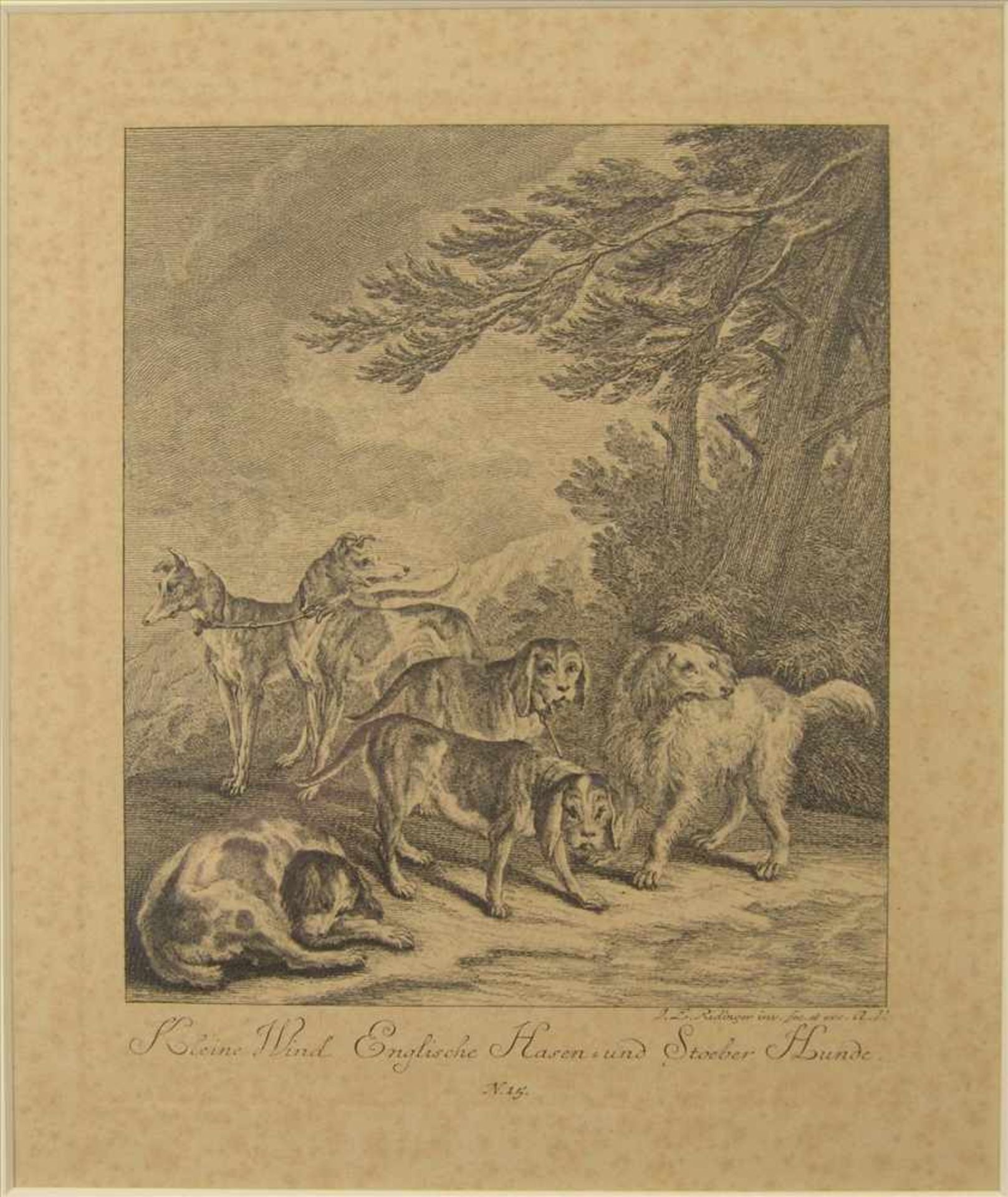 Johann Elias Ridinger (1685-1767), 4 Kupferstiche, Hunde, um 1780, sichtbares Blattmaß jeweils ca.