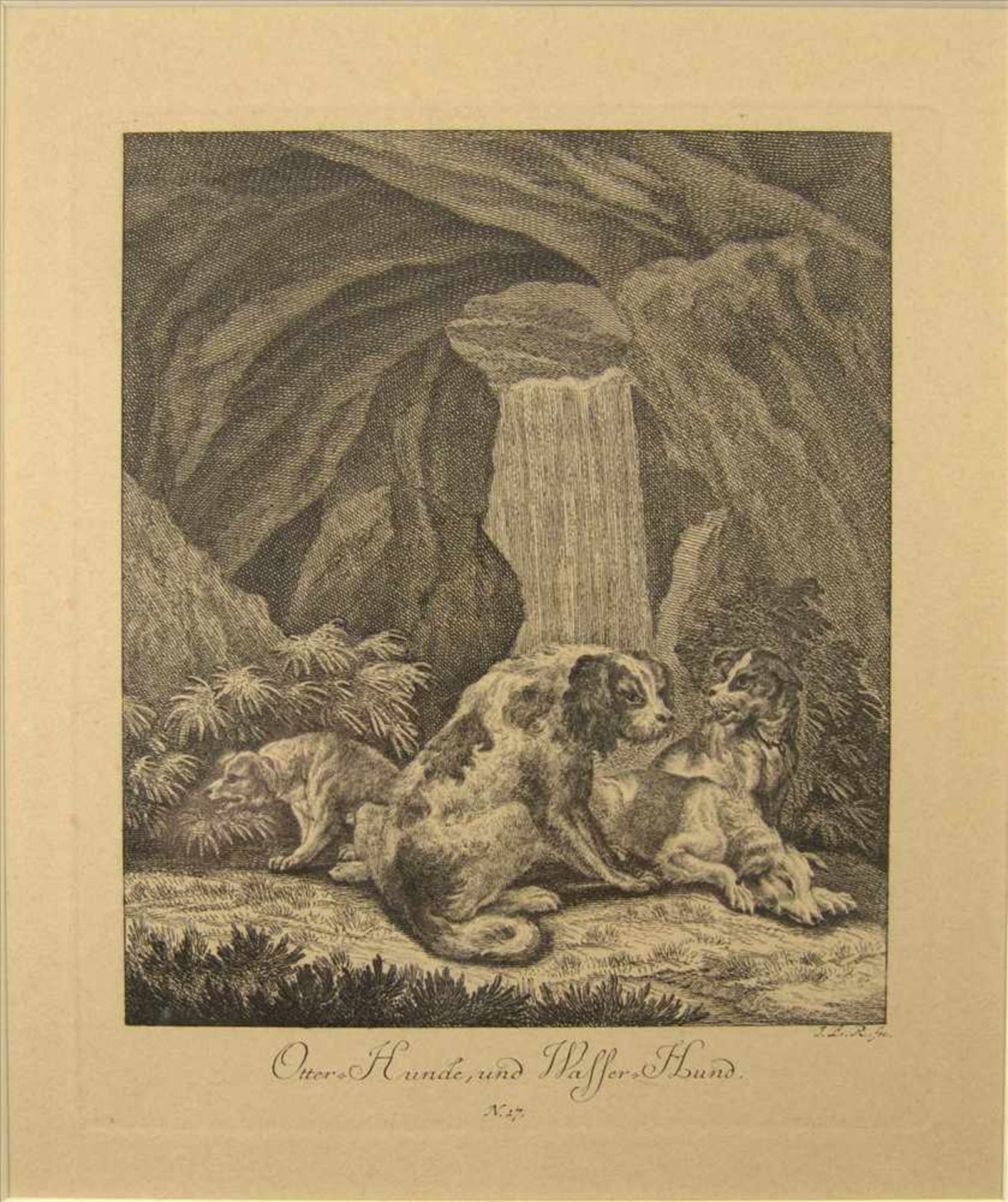 Johann Elias Ridinger (1685-1767), 4 Kupferstiche, Hunde, um 1780, sichtbares Blattmaß jeweils ca. - Image 2 of 4