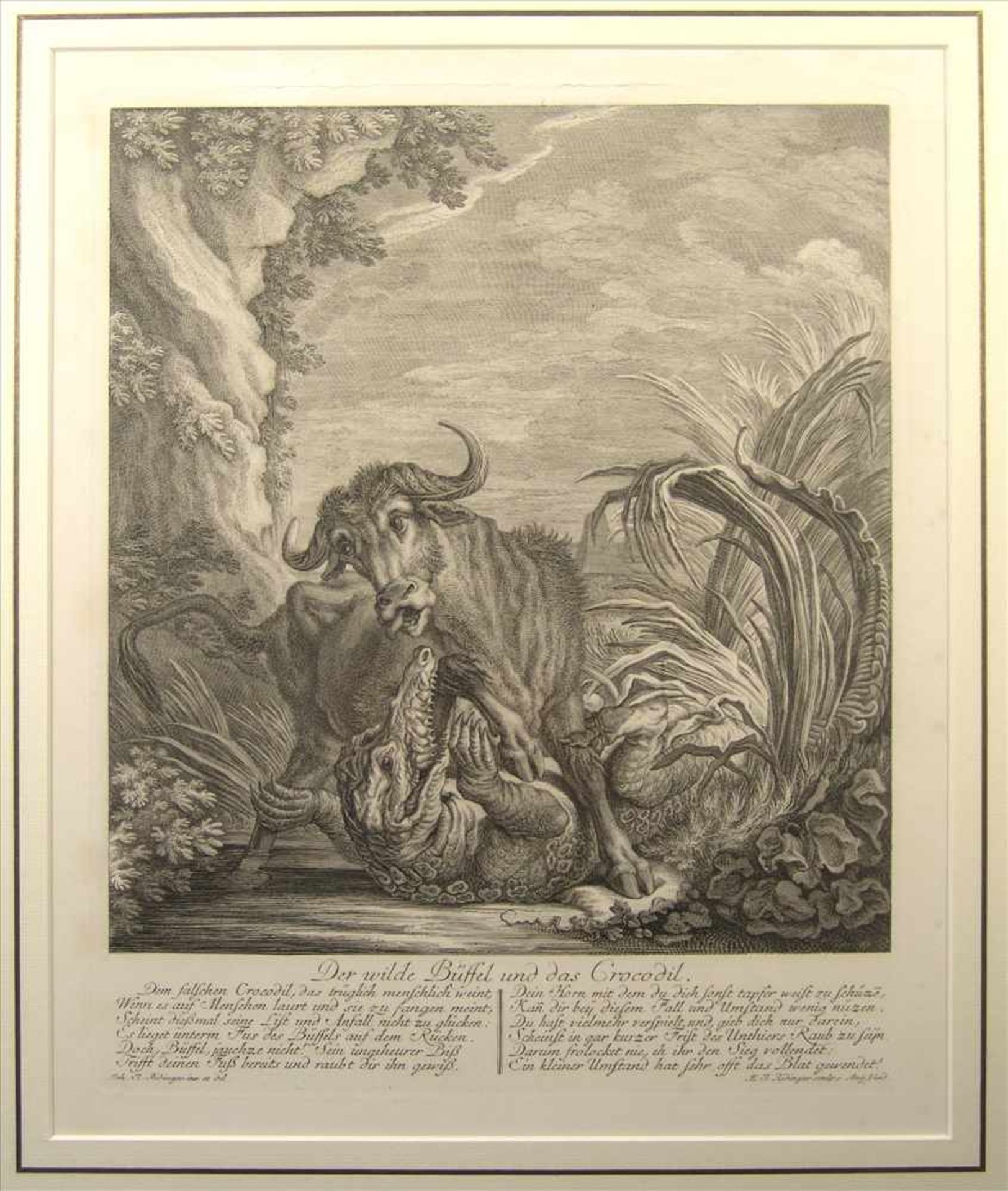 Johann Elias Ridinger (1685-1767), Der wilde Büffel und das Crocodil, um 1760, Kupferstich aus: ''