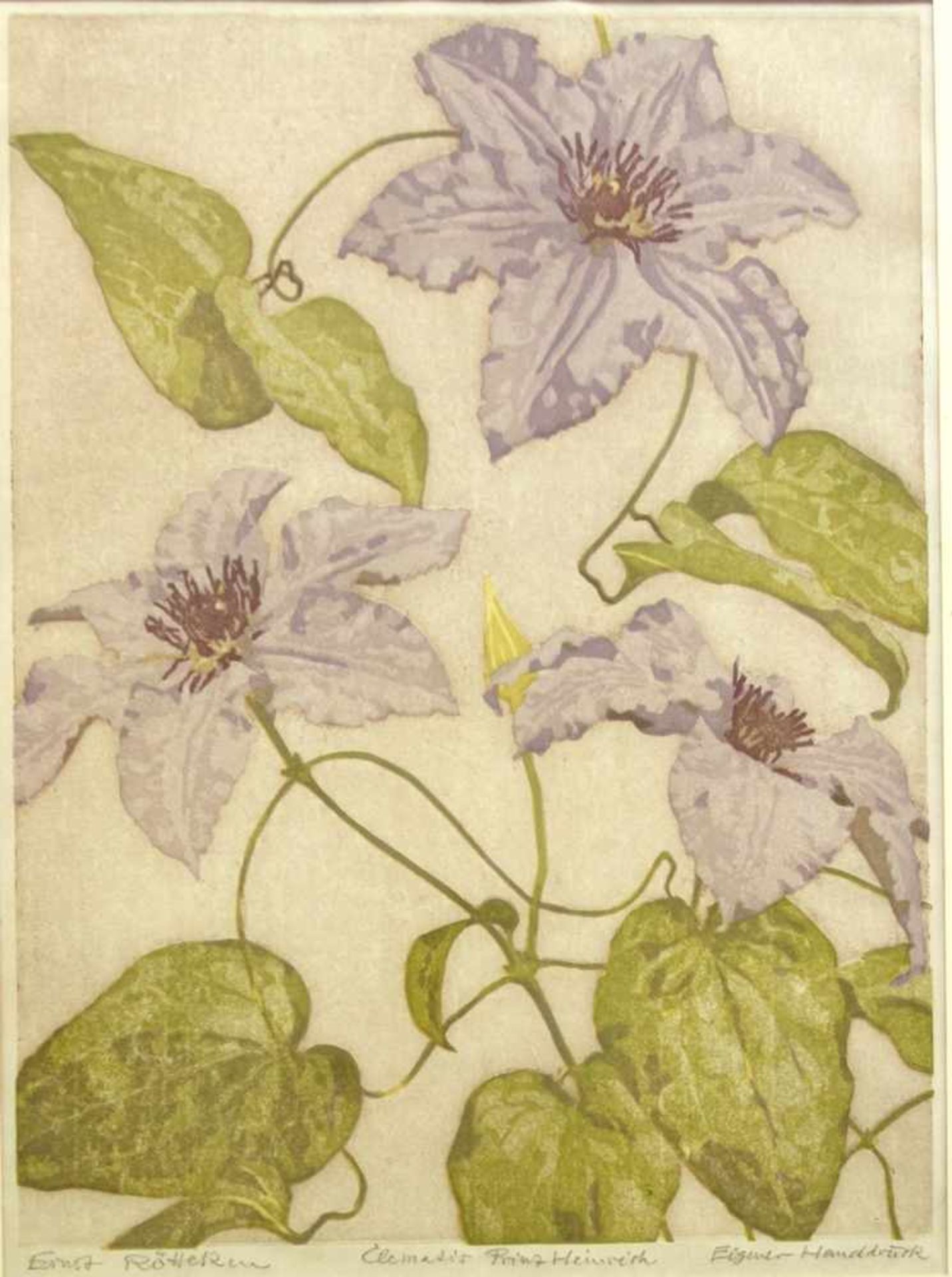 Ernst Rötteken (1882-1945), "Clematis Prinz Heinrich", Farbholzschnitt, u.l. signiert, mittig