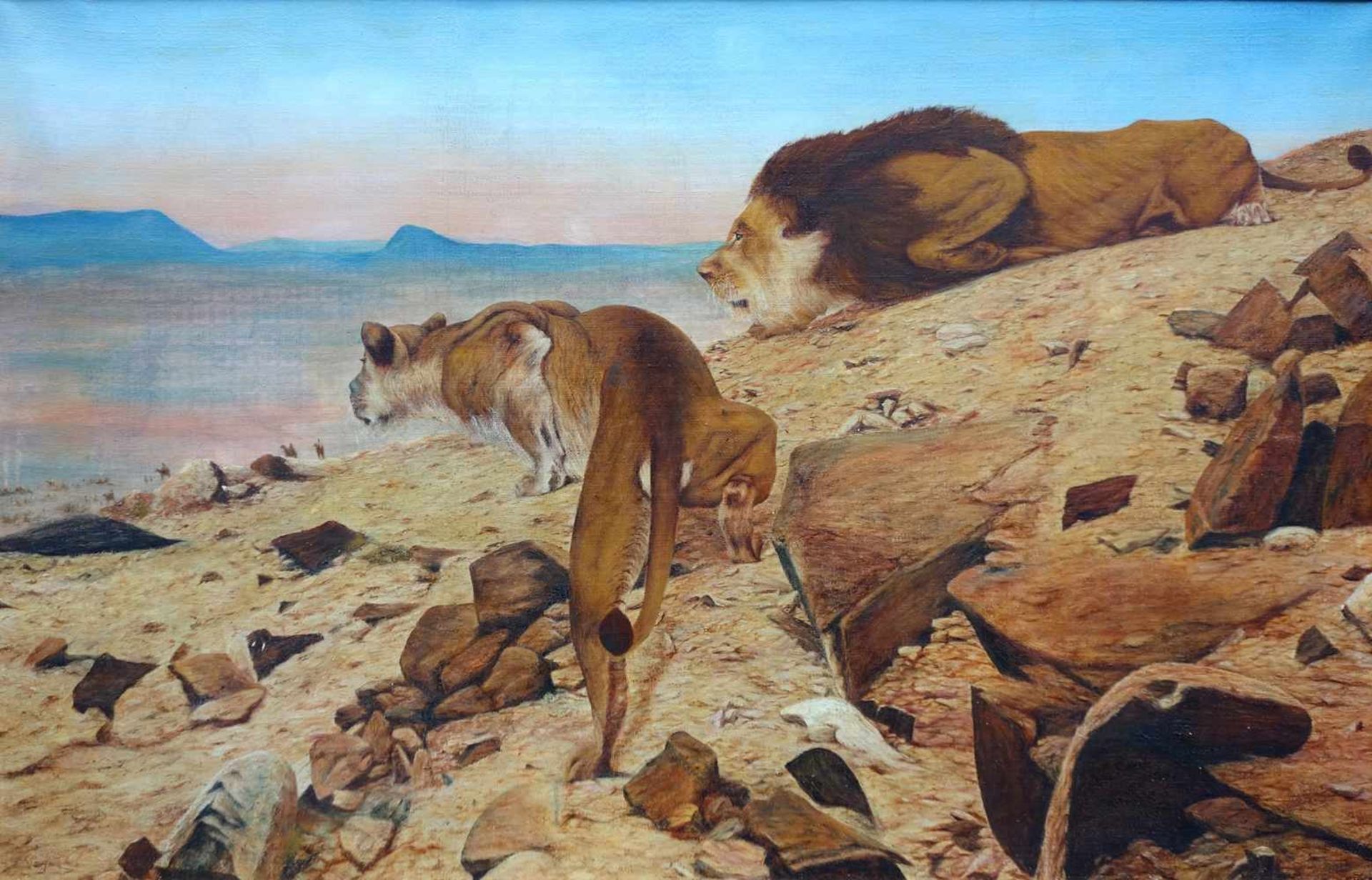 Richard Friese (1854 - 1918) attr., "Löwen bei der Jagd", Öl/Lw., Ende 19. Jh., ein Löwenpaar lauert - Image 2 of 2