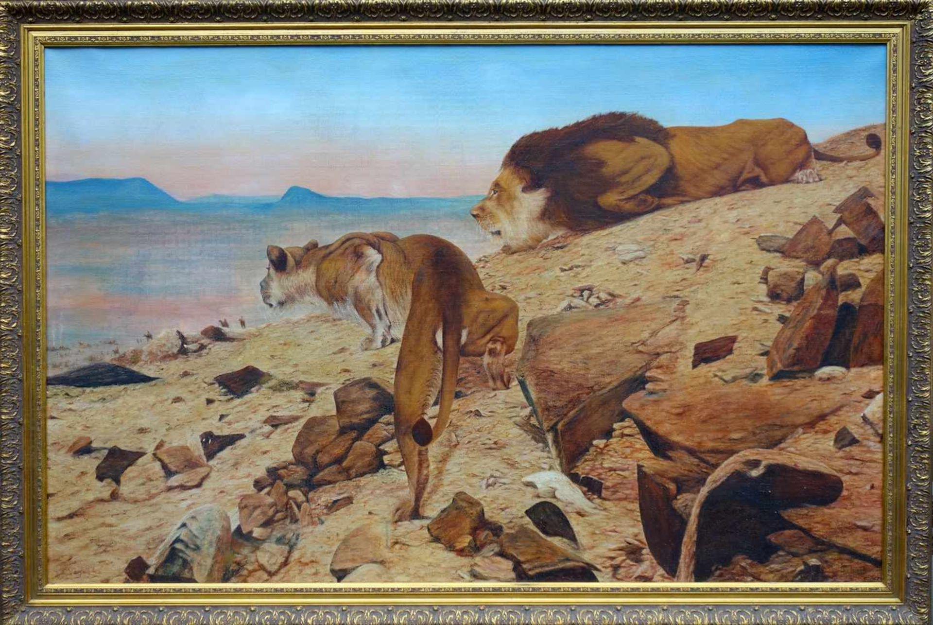 Richard Friese (1854 - 1918) attr., "Löwen bei der Jagd", Öl/Lw., Ende 19. Jh., ein Löwenpaar lauert