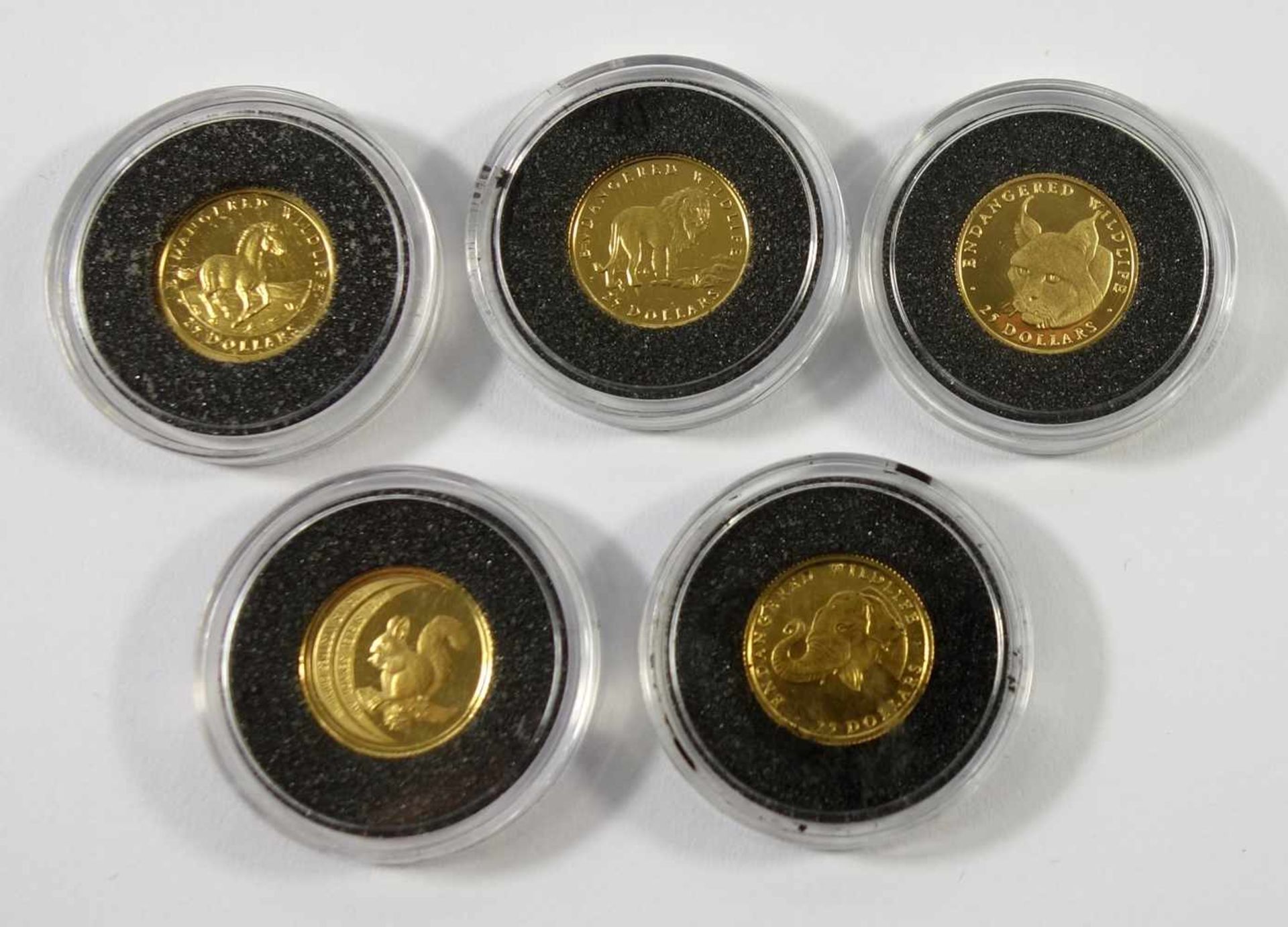 5 Gold-Gedenkprägungen a 1/25 Unze "Gefährdete Tierwelt", Feingold 24 kt, jeweils D. 14mm, 1990-