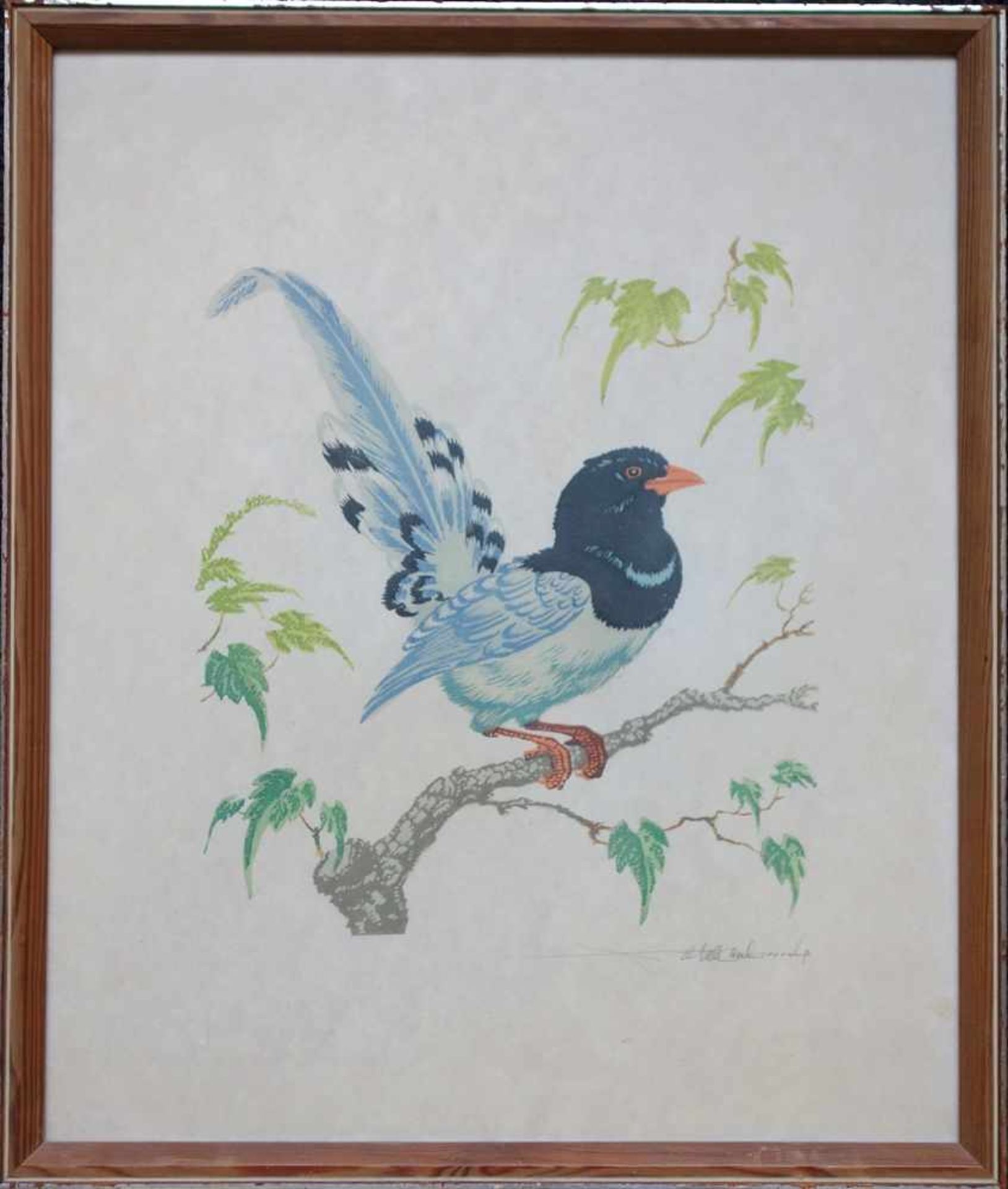 Farbholzschnitt "Paradiesvogel", um 1950, u.r. undeutl. signiert, verglast gerahmt, HB 45,7*38,
