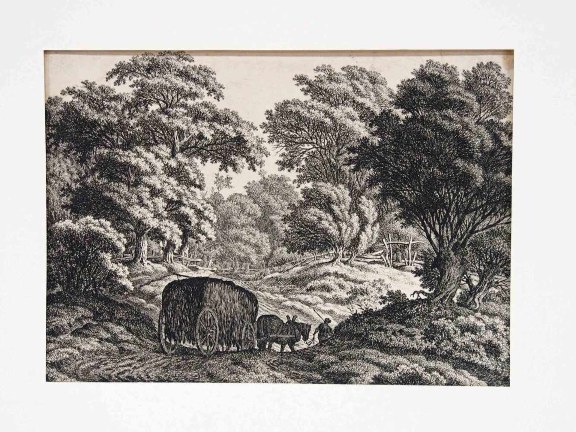 KOLBE, Carl Wilhelm1757-1835Waldlandschaft mit HeuwagenRadierung, 18,5 x 25,8 cm, montiert im