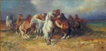 SCHELOUMOFF, Alexander1892 -1963WildpferdherdeÖl auf Leinwand, signiert unten rechts, 40 x 78 cm,