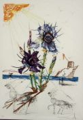 DALI, Salvador1904-1989Iris germanica cum ocellis italicisFarbradierung auf Heliogravur,signiert