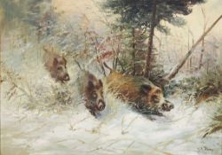 KAMP, Willi vontätig 20. Jh.Wildschweine im WinterwaldÖl auf Leinwand, signiert unten rechts, 70 x