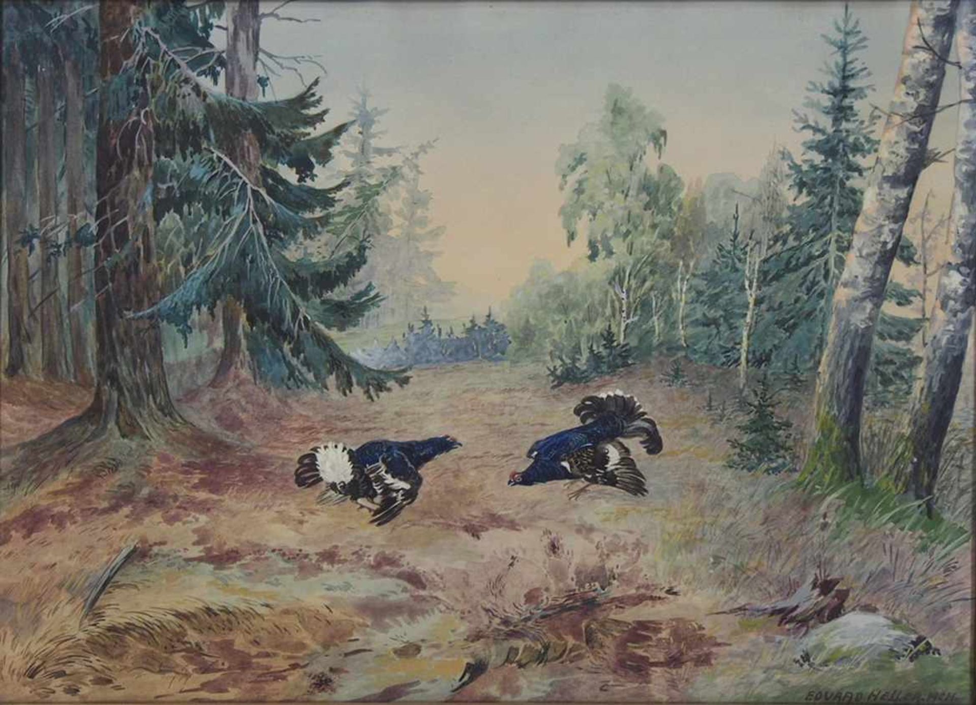 HELLER, Eduard1852-1918Kämpfende AuerhähneGouache auf Papier, signiert unten rechts, 36 x 49 cm,