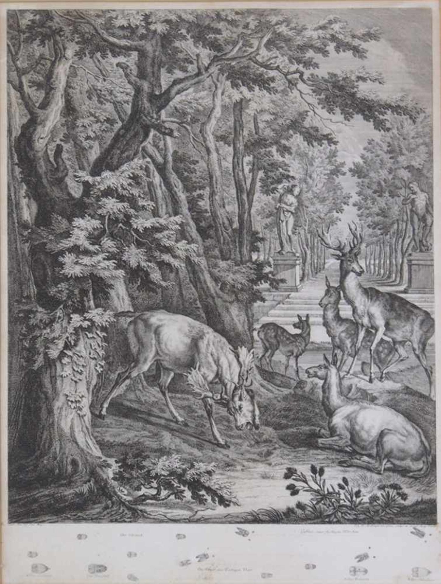 RIDINGER, Johann Elias1698-1767DammhirschfamilieKupferstich, Blatt 3 aus: Gruendliche