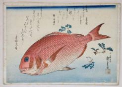 HIROSHIGE, Ando1797-1858Kimmedai-FischFarbholzschnitt, 1832, 25,5 x 37 cm, alt aufgezogen auf