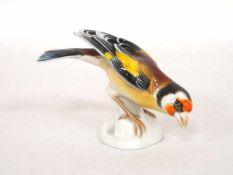 VogelPorzellan, bemalt, Rosenthal, Entwurf Otto Eichwald, Höhe 10 cm- - -25.00 % buyer's premium