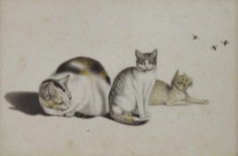 MIND, Gottfried1768-1814Katzenzugeschrieben, Aquarell auf Papier, 10,5 x 16,5 cm, gerahmt unter