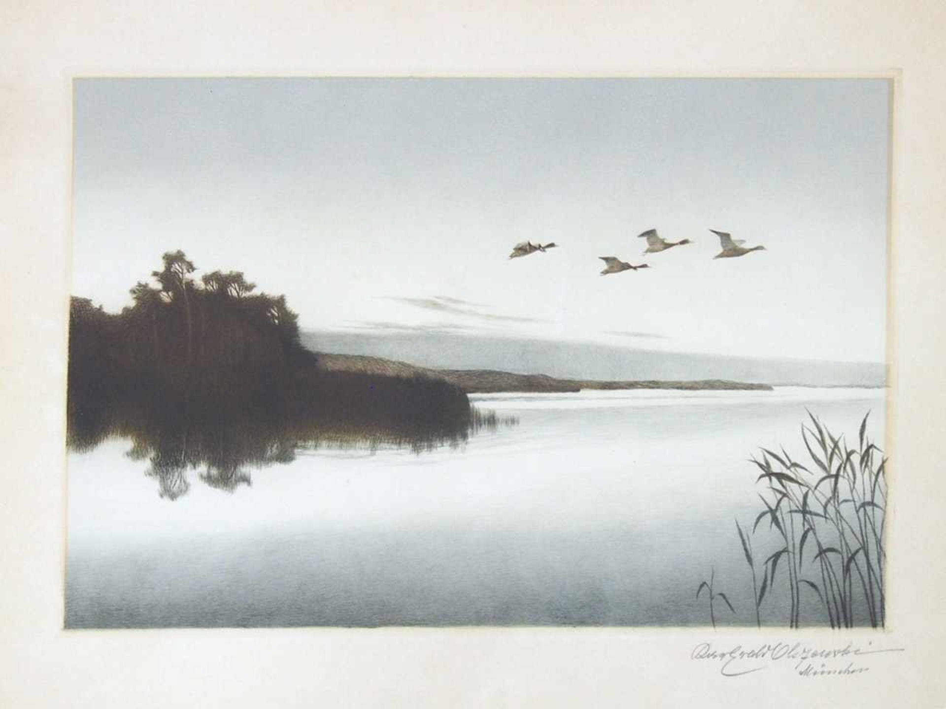 OLSZEWSKI, Karl Ewald1884-1965Aufffliegende GänseFarbradierungen, signiert unten rechts,