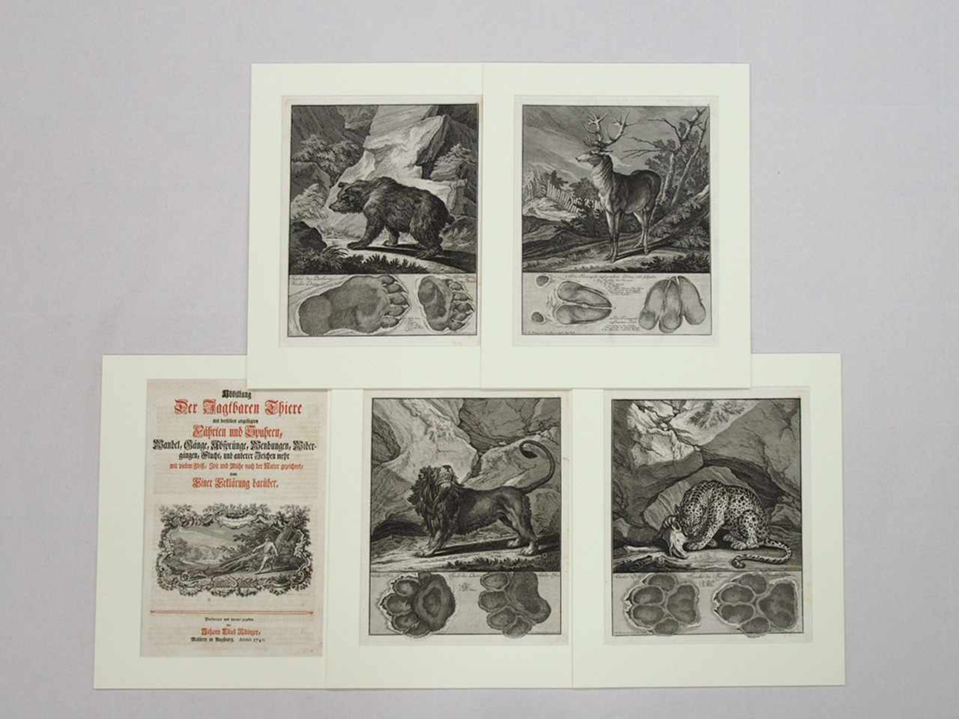 RIDINGER, Johann Elias1698-1767Abbildung der jagtbaren Thiere ...Augsburg 1740, mit gestochener - Bild 2 aus 3