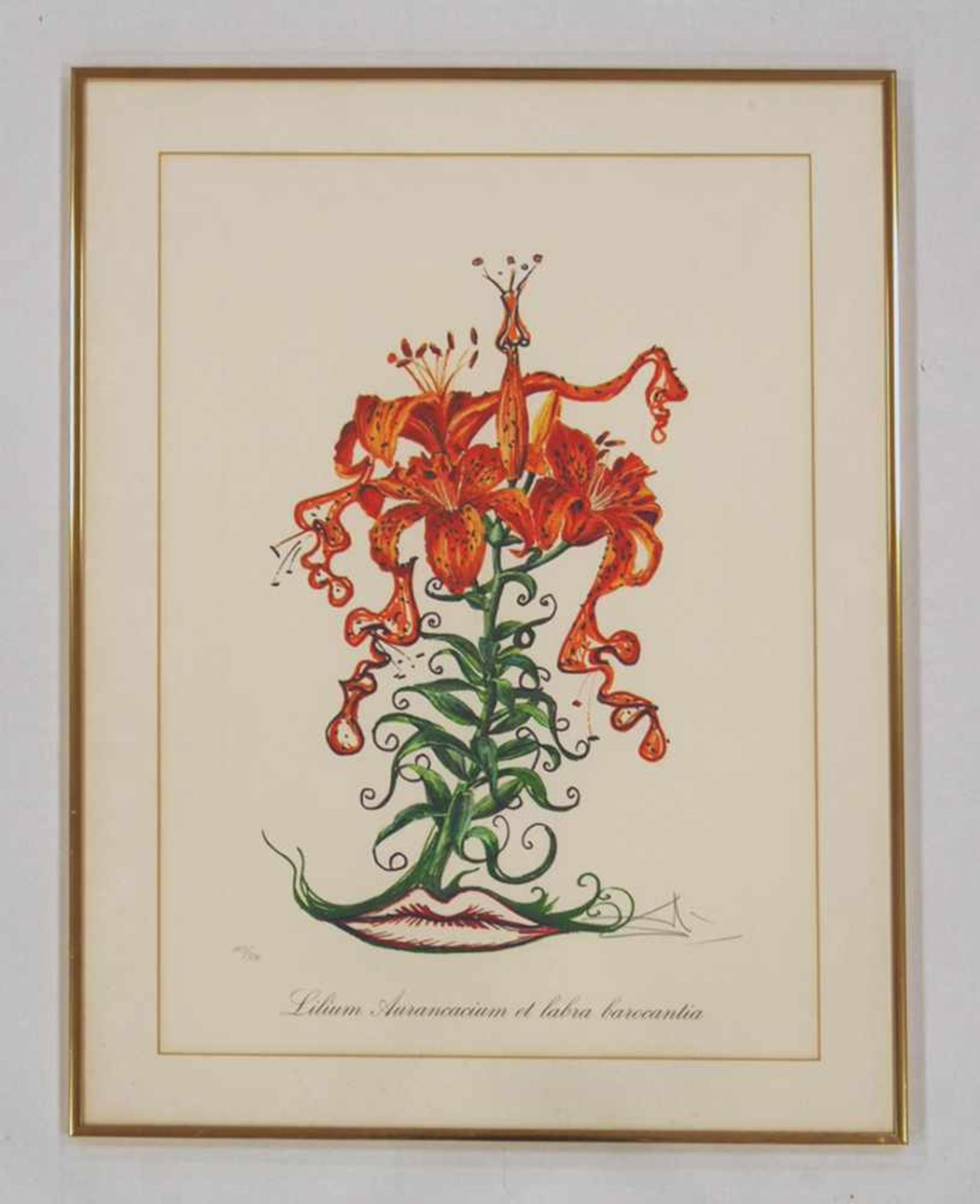 DALI, Salvador1904-1989Lilium AurancaciumHeliogravur, signiert unten rechts, nummeriert 102/350 - Bild 2 aus 2