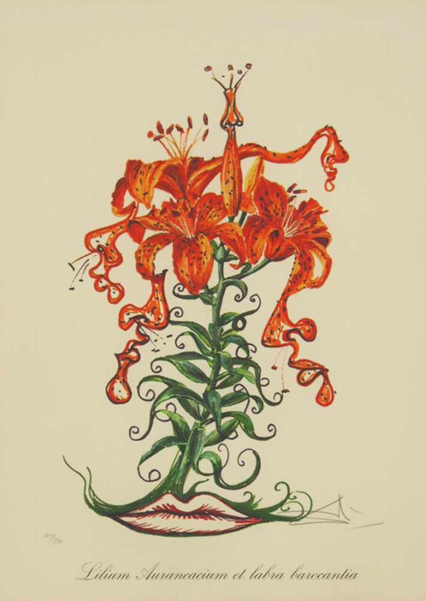 DALI, Salvador1904-1989Lilium AurancaciumHeliogravur, signiert unten rechts, nummeriert 102/350