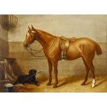 Englischer Tiermaler19. Jh. Öl/LW., aufgez. Stallinterieur mit brauner Stute und Hund mit der